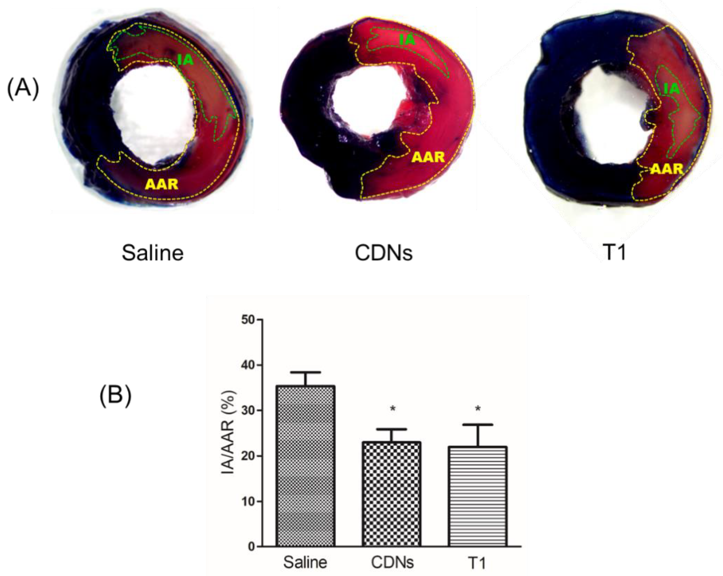 Pharmaceutics 13 01052 g006