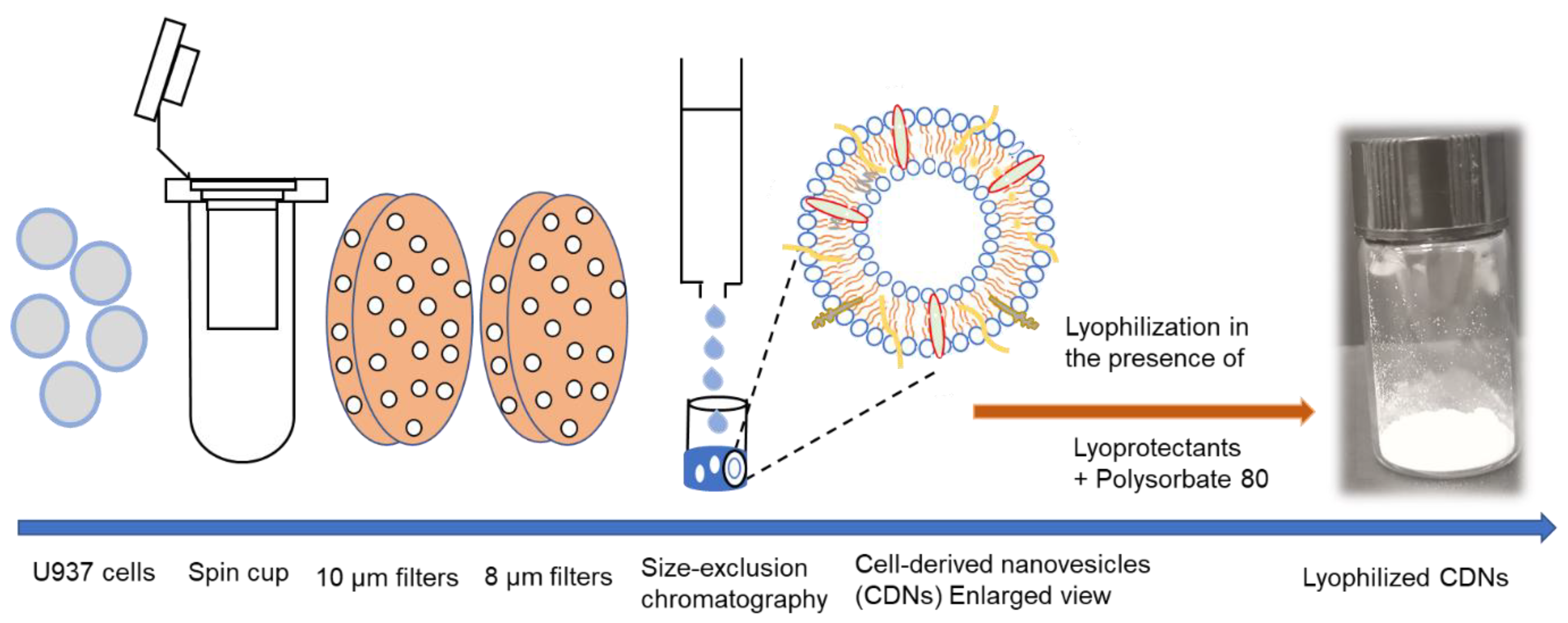 Pharmaceutics 13 01052 sch001