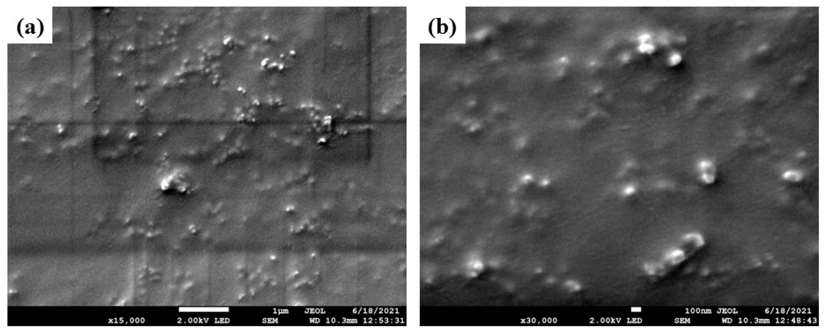 Pharmaceutics 13 01055 g002