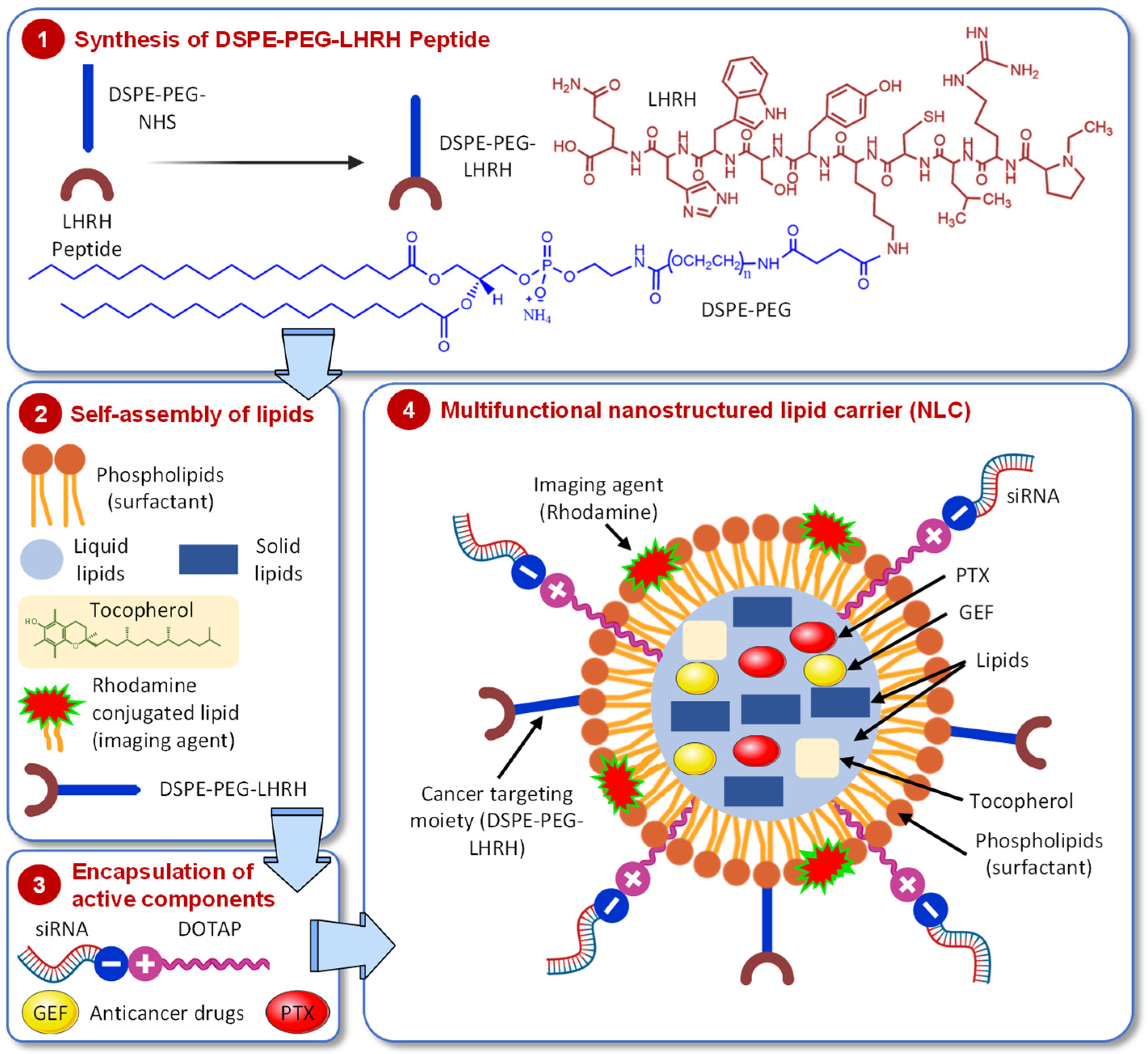 Pharmaceutics 13 01063 g001