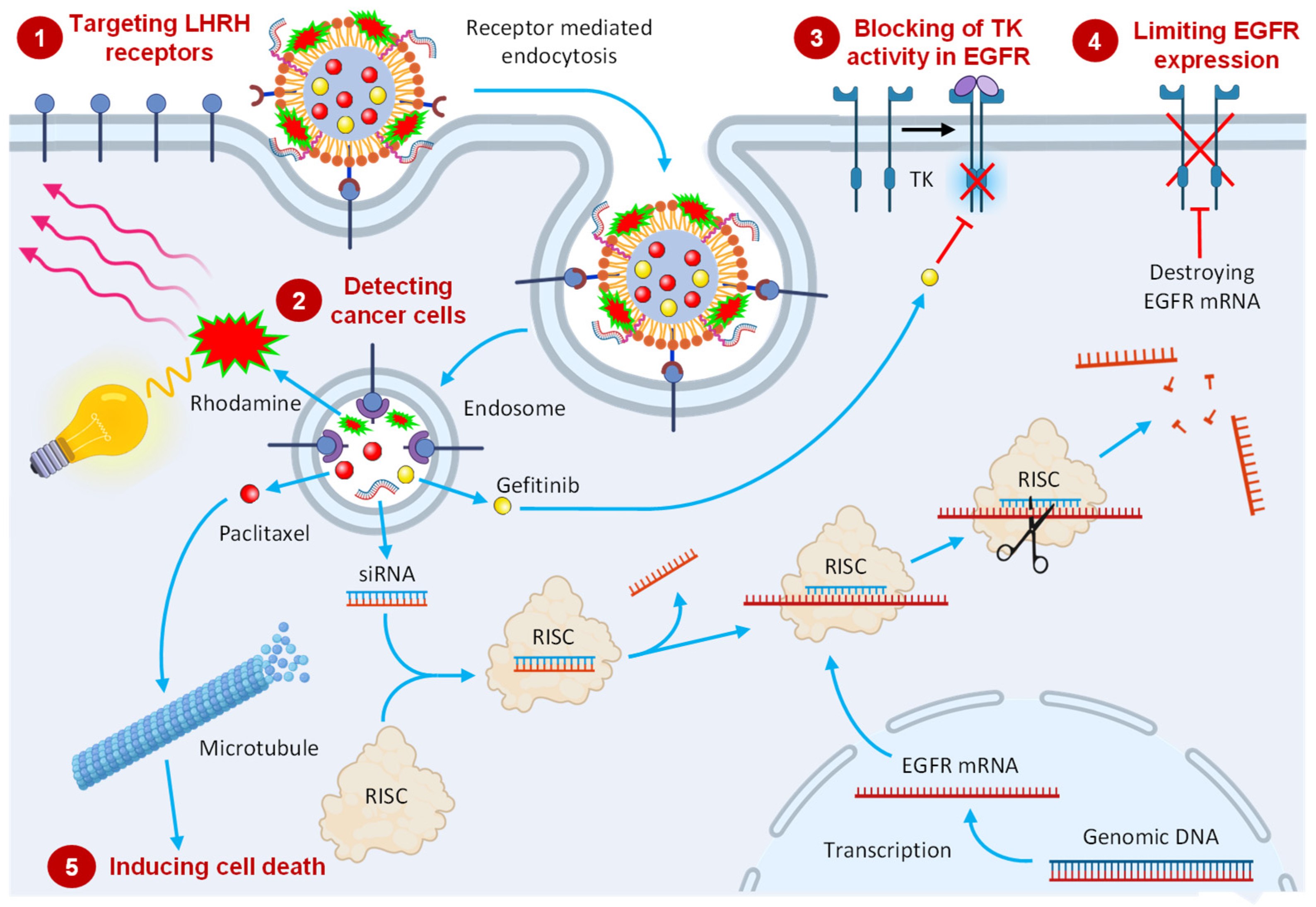 Pharmaceutics 13 01063 g002