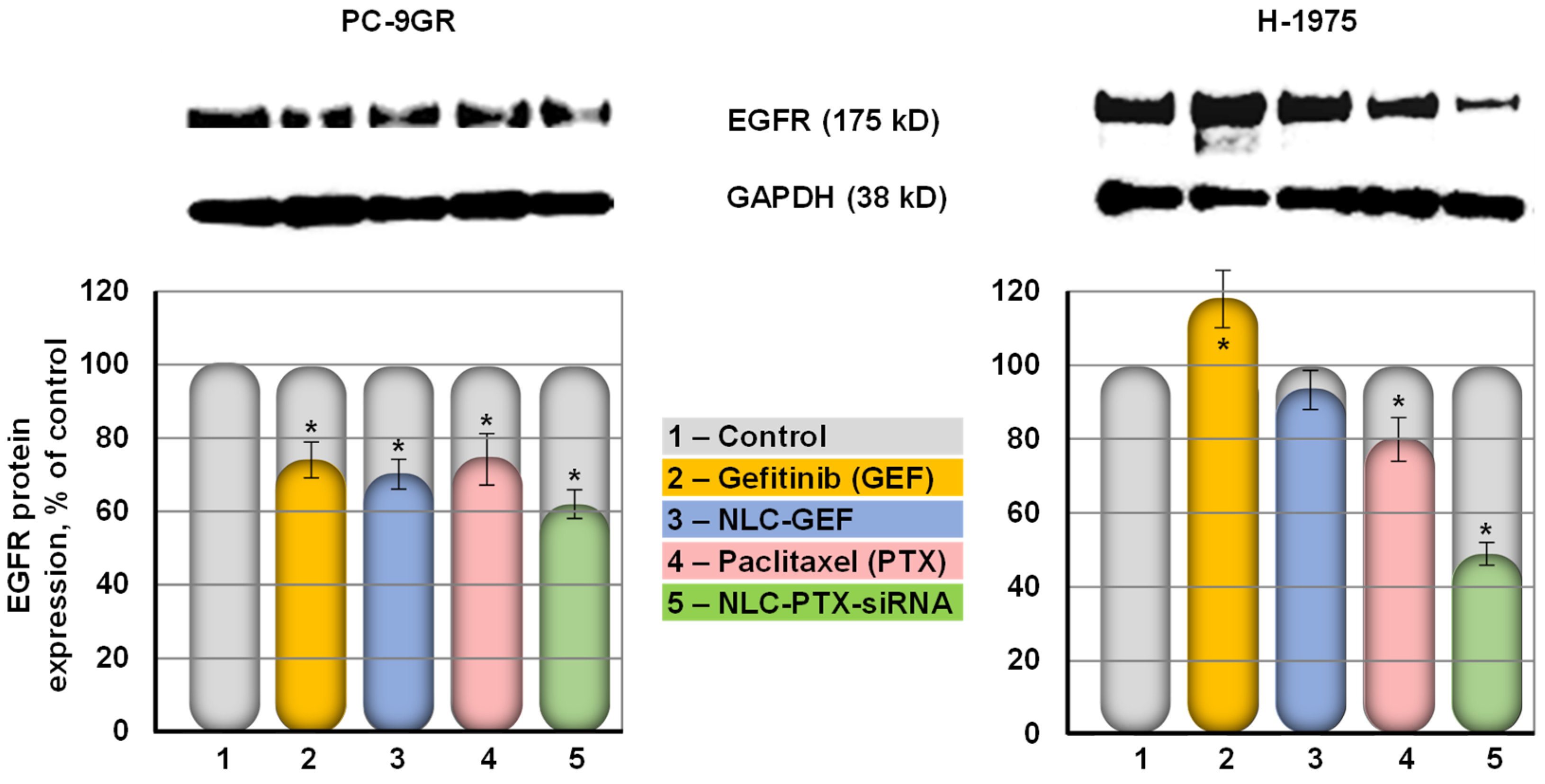 Pharmaceutics 13 01063 g008