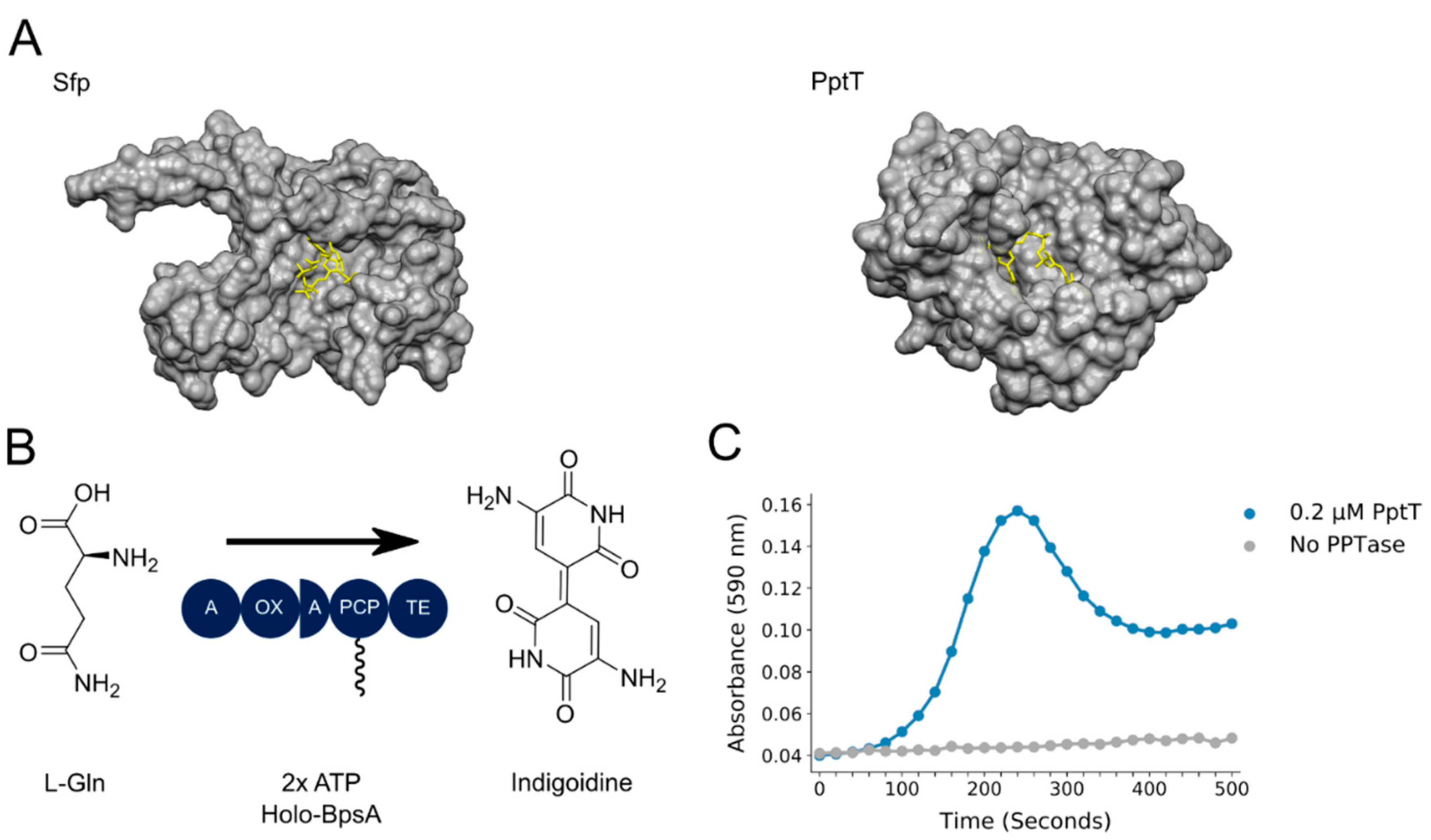Pharmaceutics 13 01066 g001