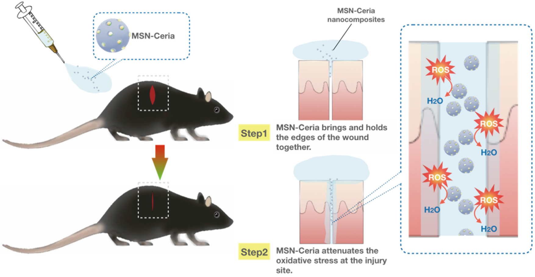 Pharmaceutics 13 01067 g005