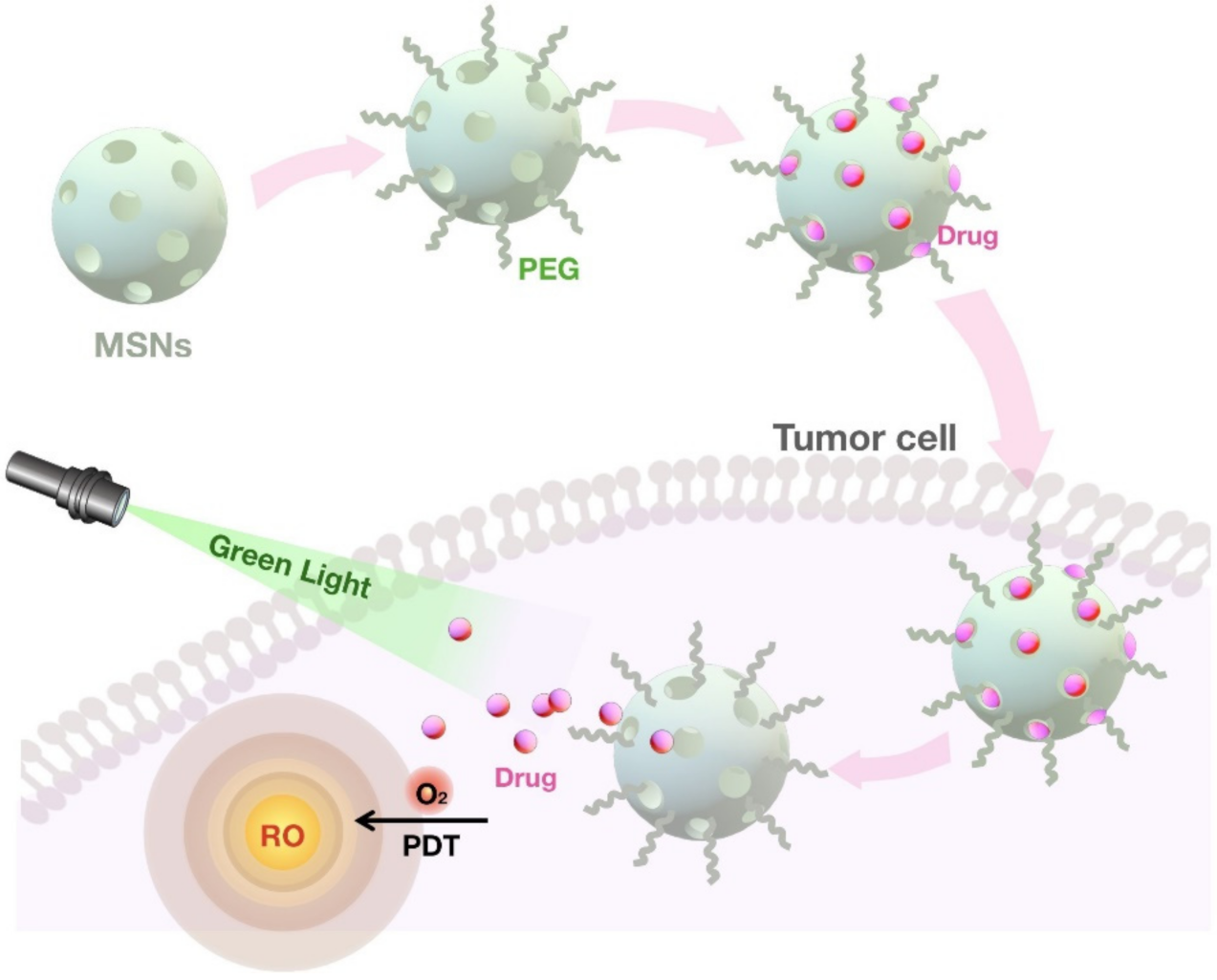 Pharmaceutics 13 01067 g009