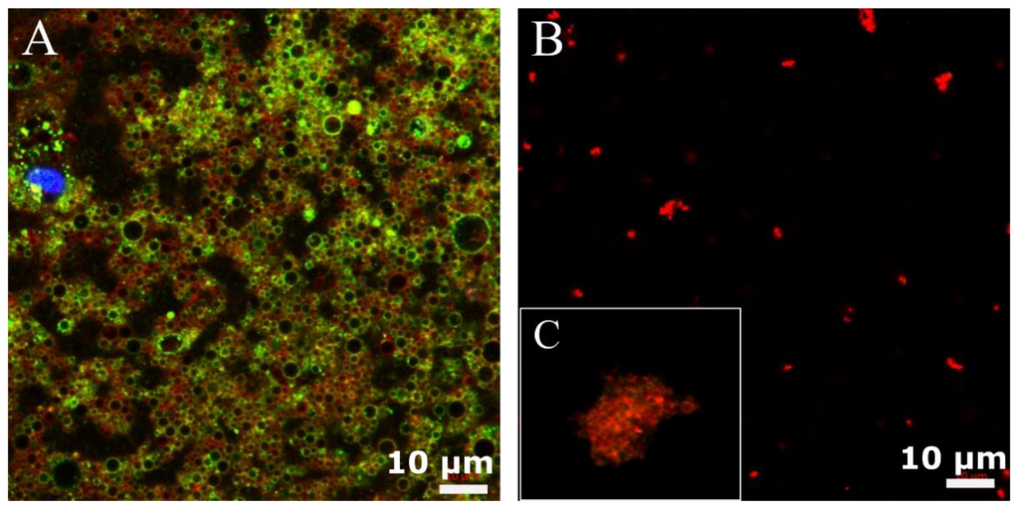 Pharmaceutics 13 01069 g001