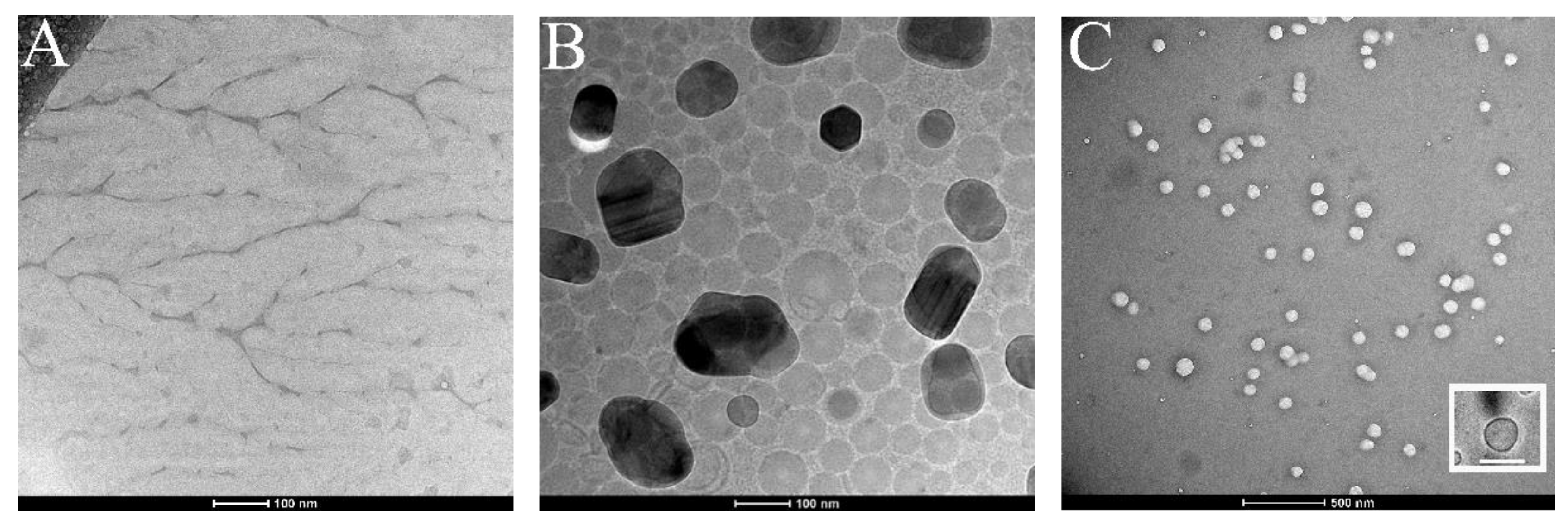 Pharmaceutics 13 01069 g003