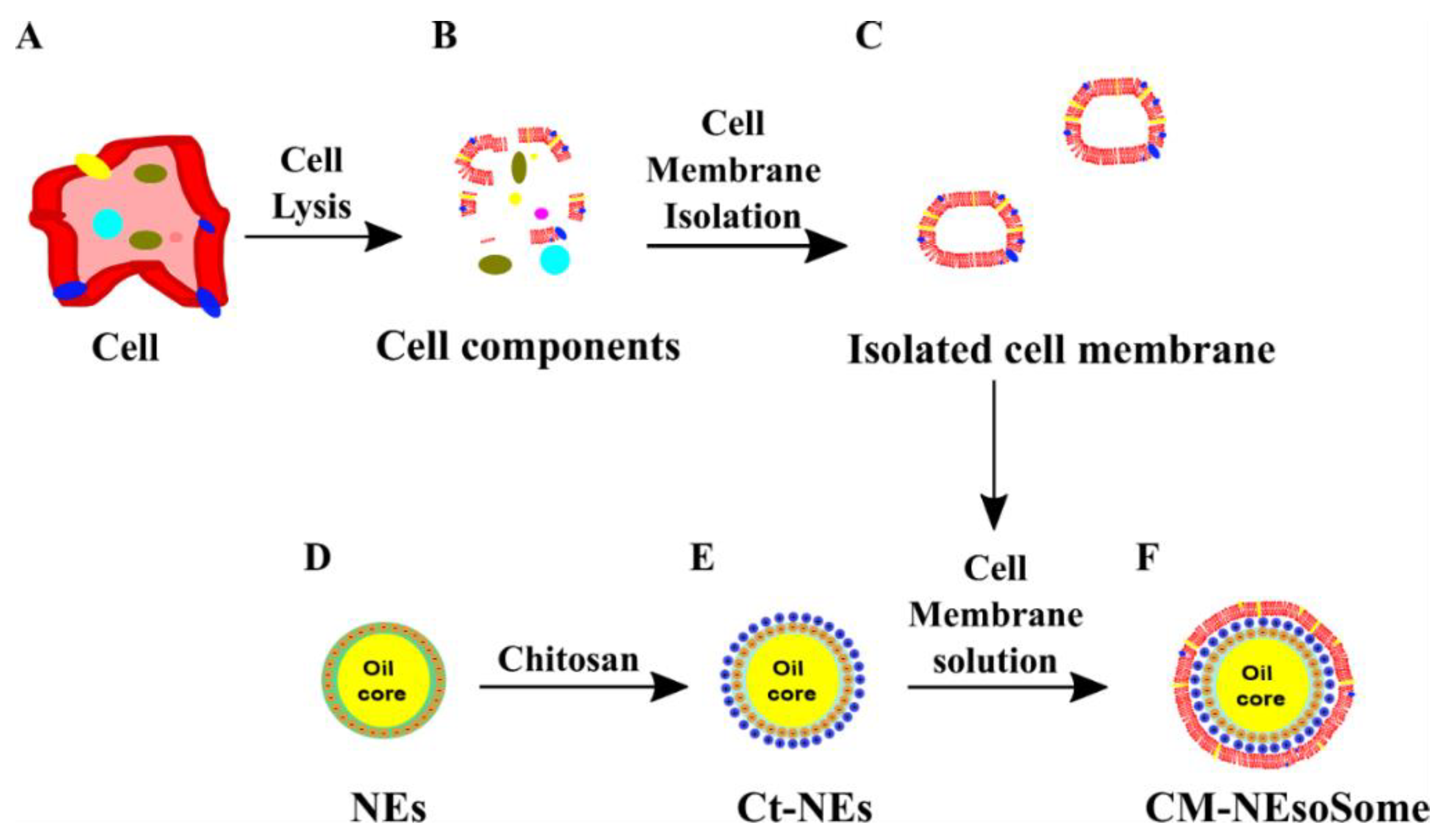 Pharmaceutics 13 01069 sch001
