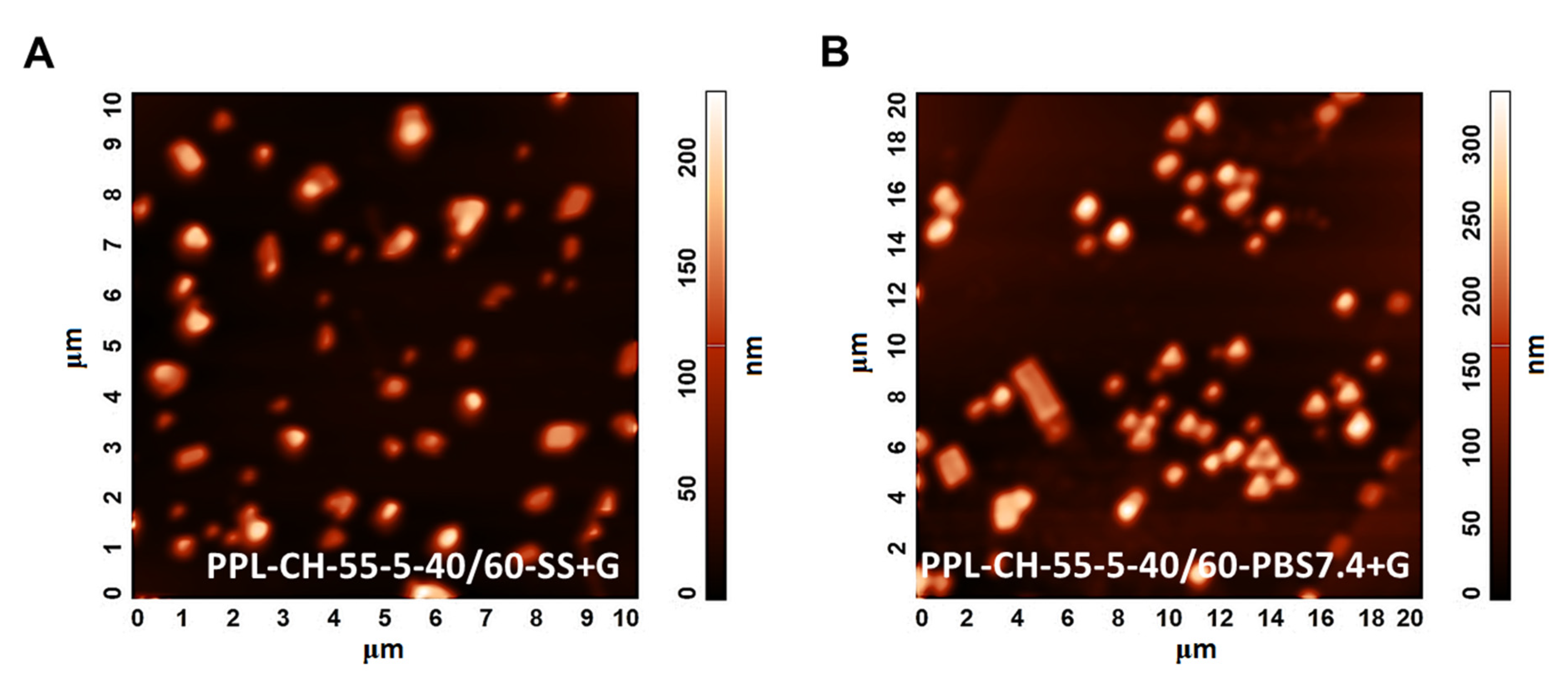 Pharmaceutics 13 01071 g010