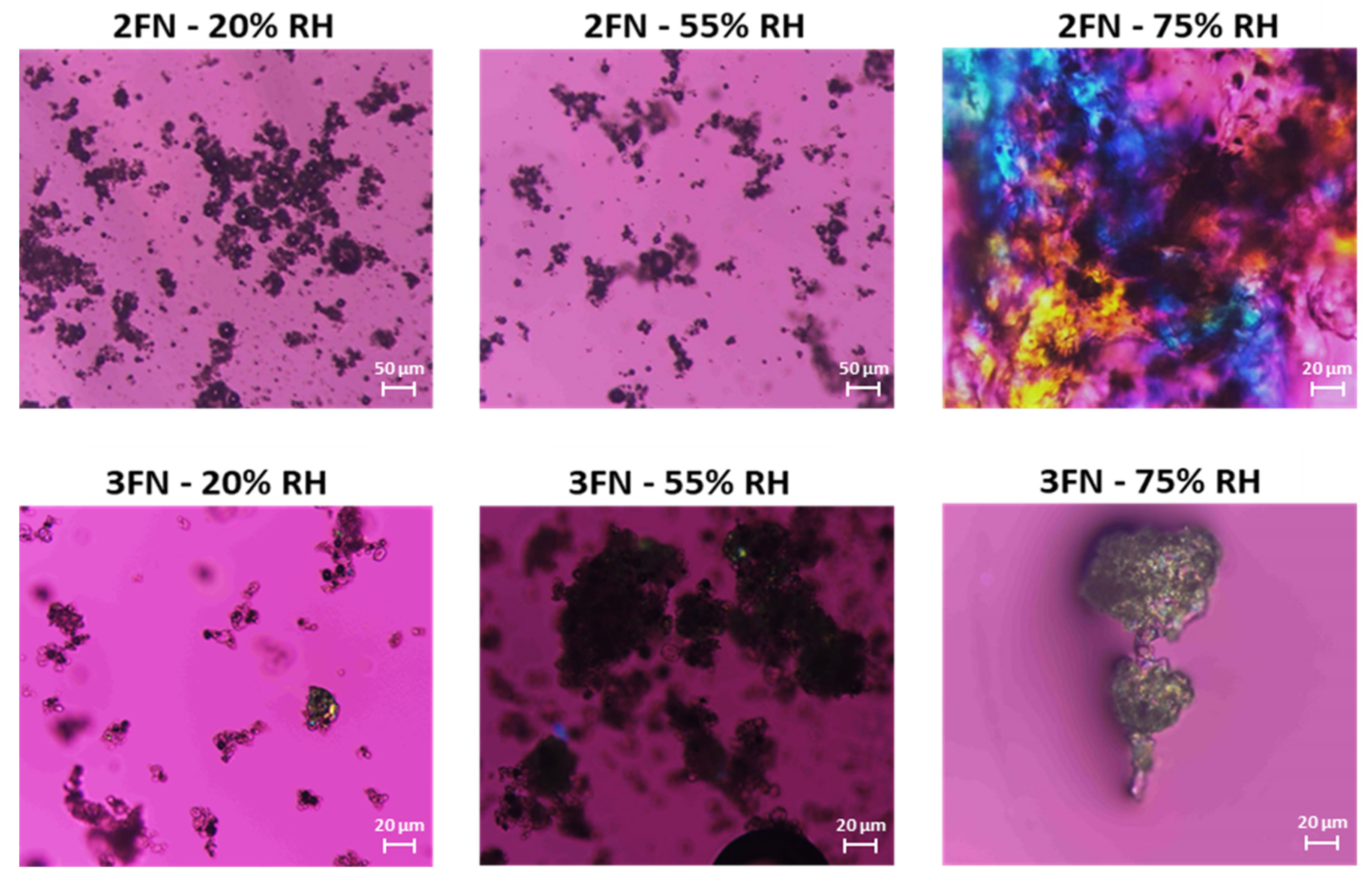 Pharmaceutics 13 01074 g006