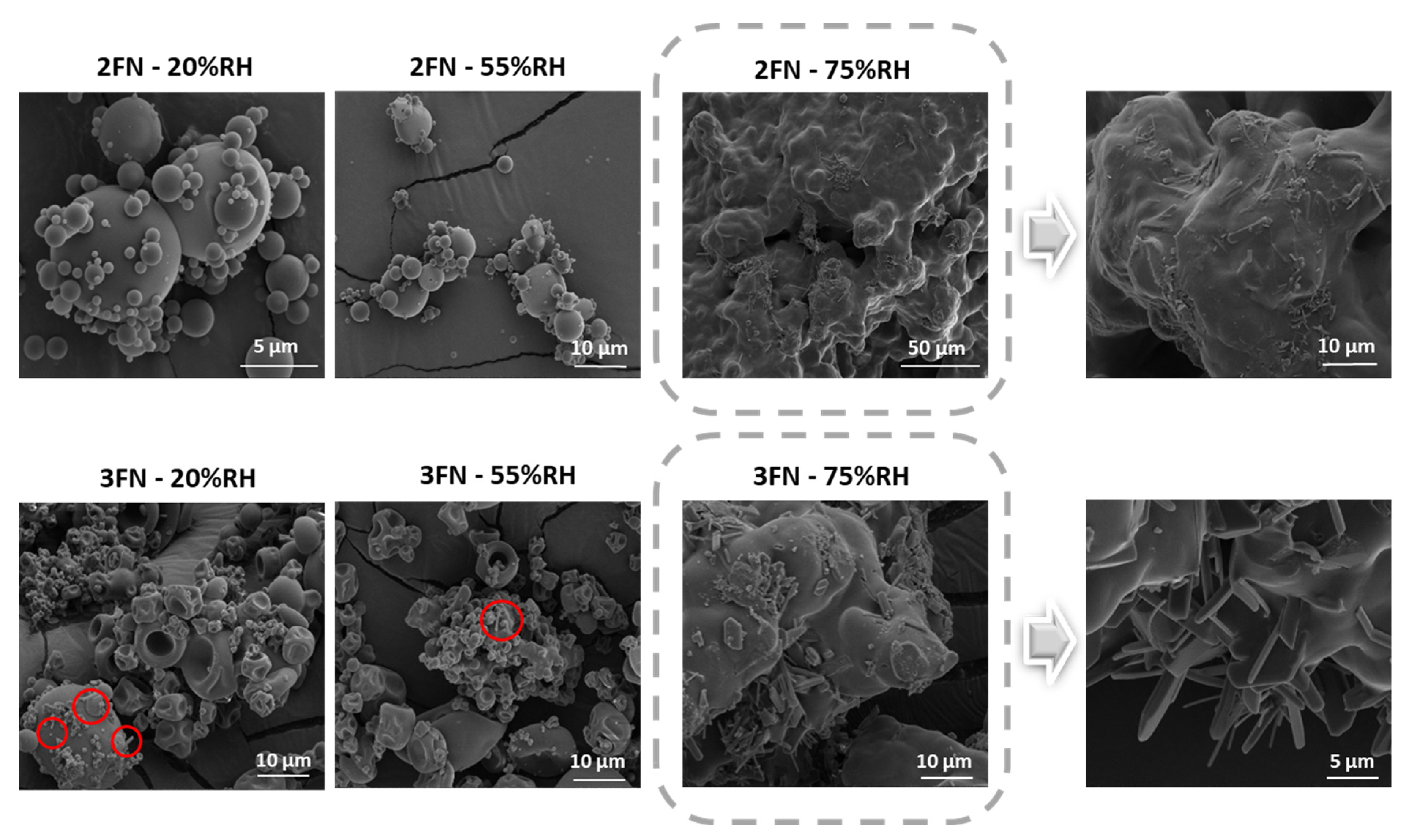 Pharmaceutics 13 01074 g007