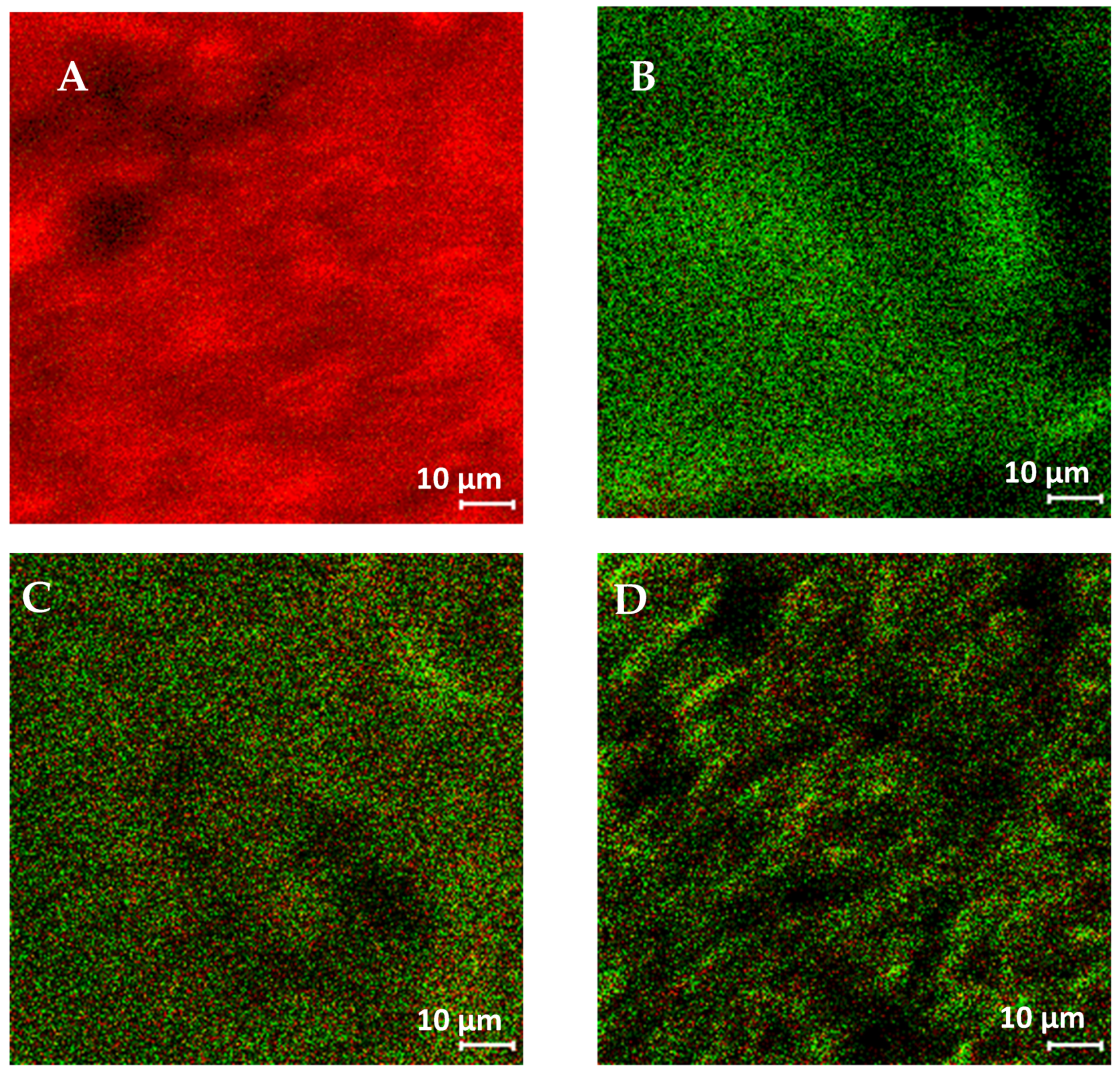 Pharmaceutics 13 01074 g008