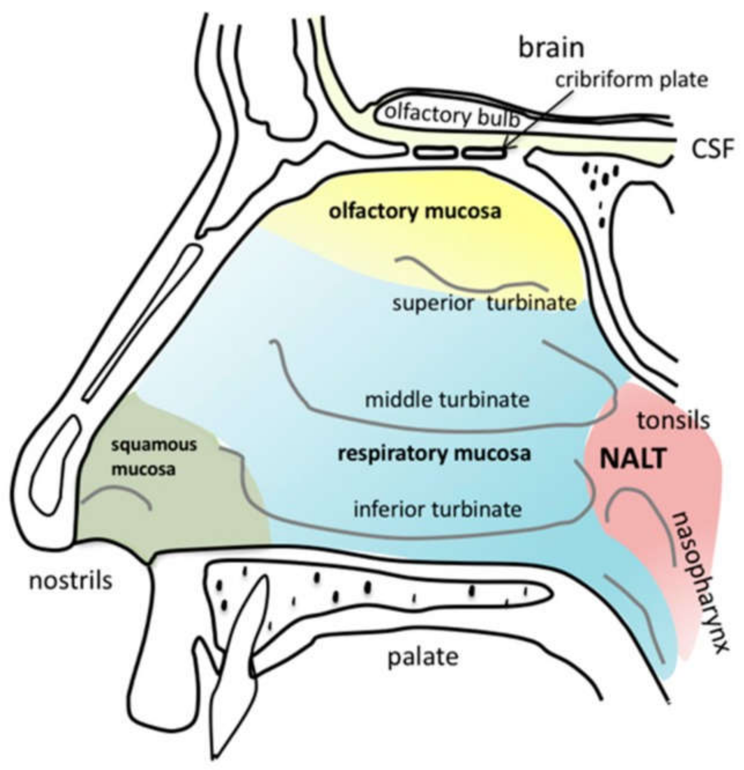 Pharmaceutics 13 01079 g001