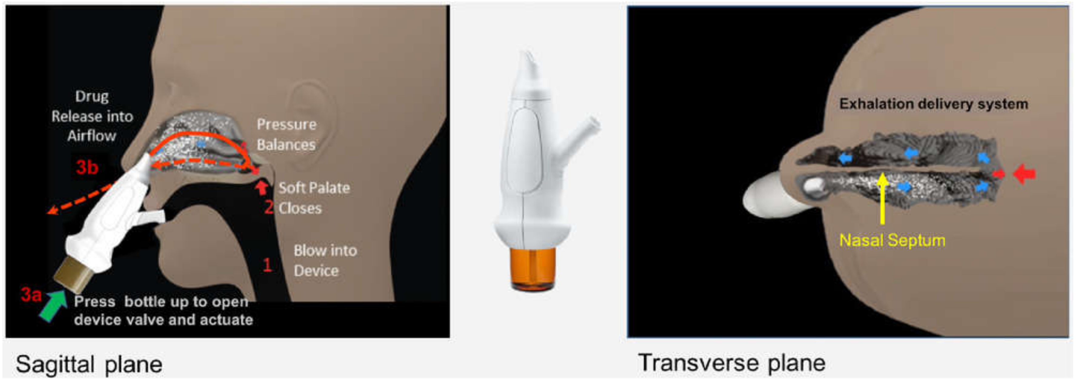 Pharmaceutics 13 01079 g002