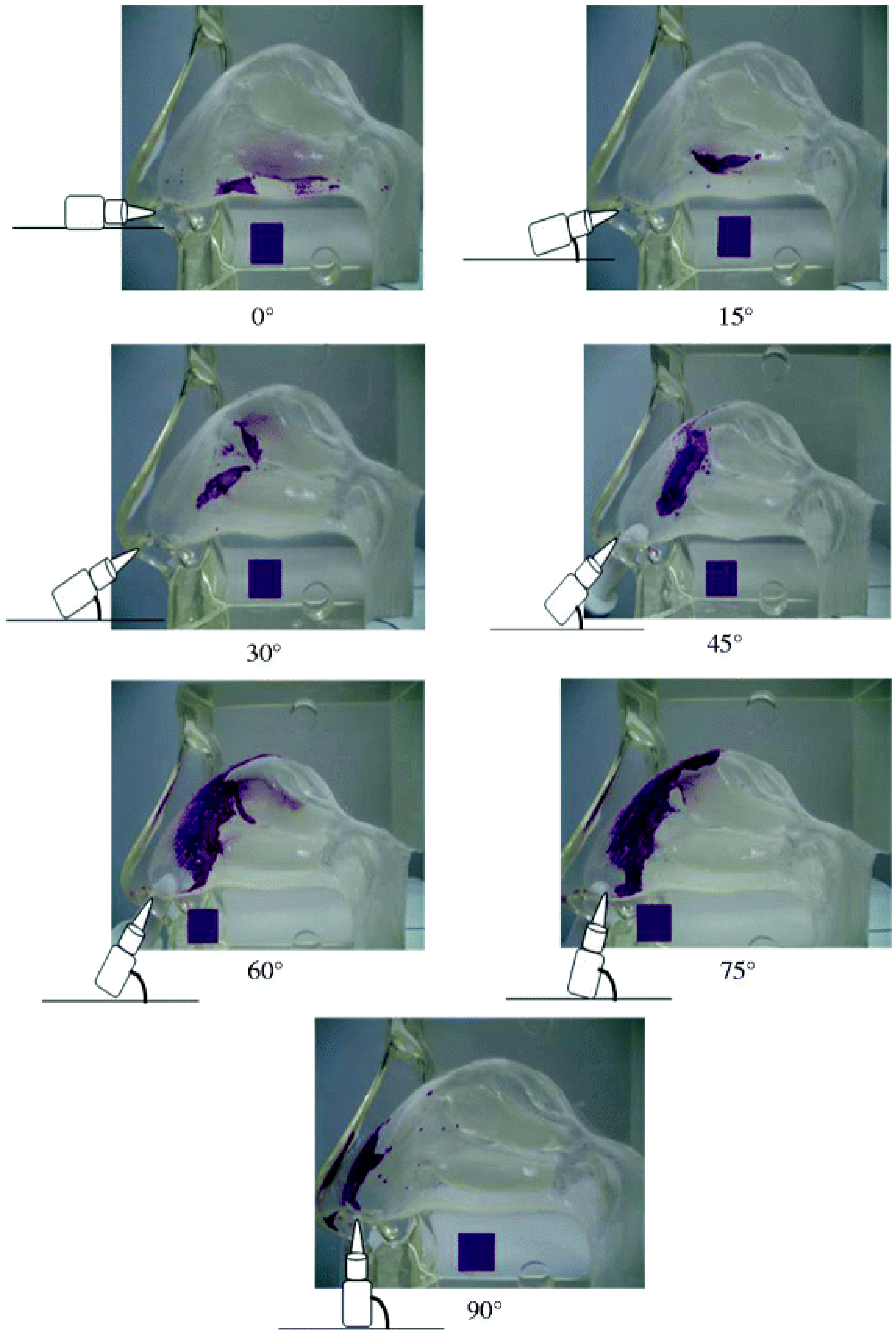 Pharmaceutics 13 01079 g005