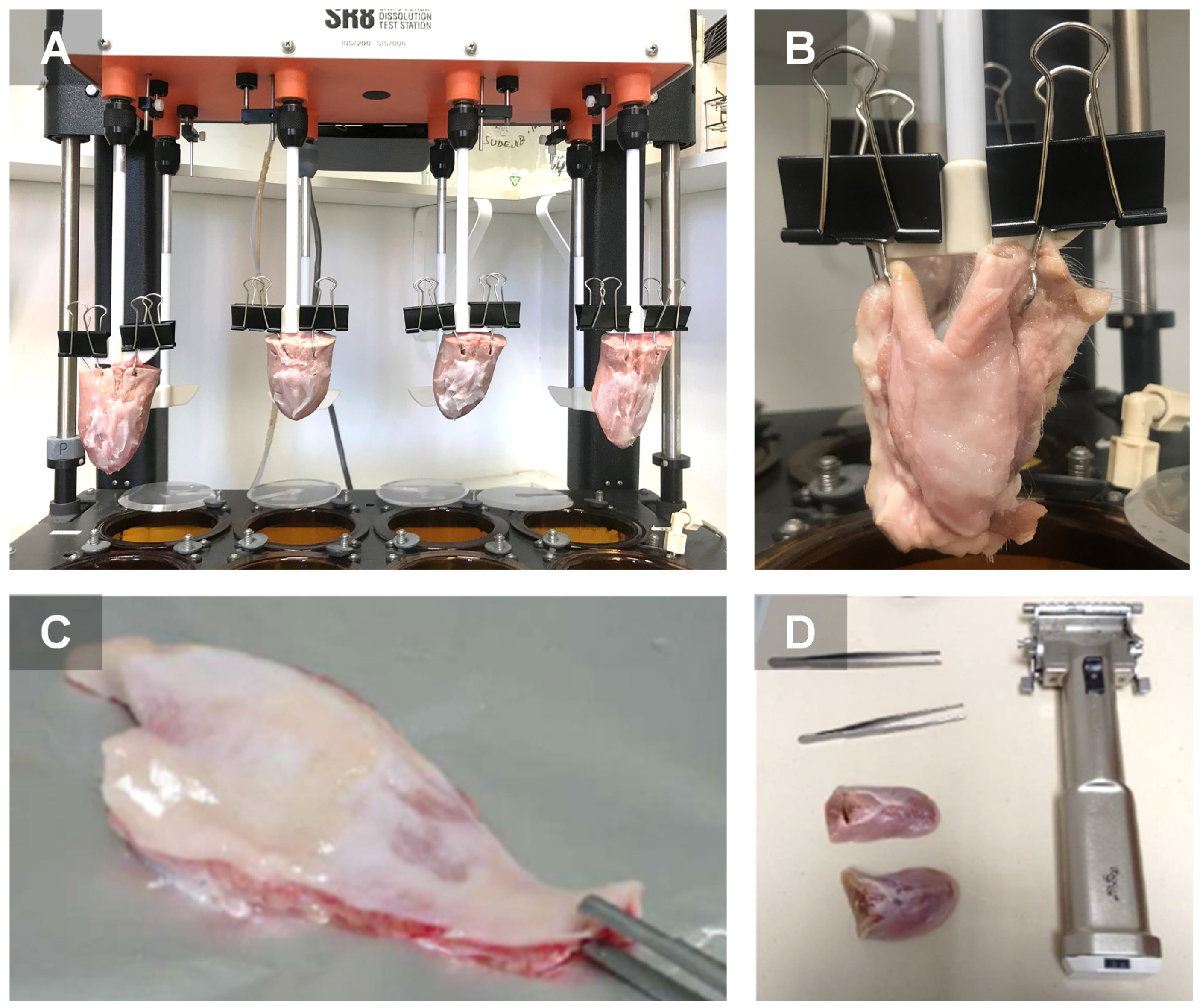 Pharmaceutics 13 01080 g002