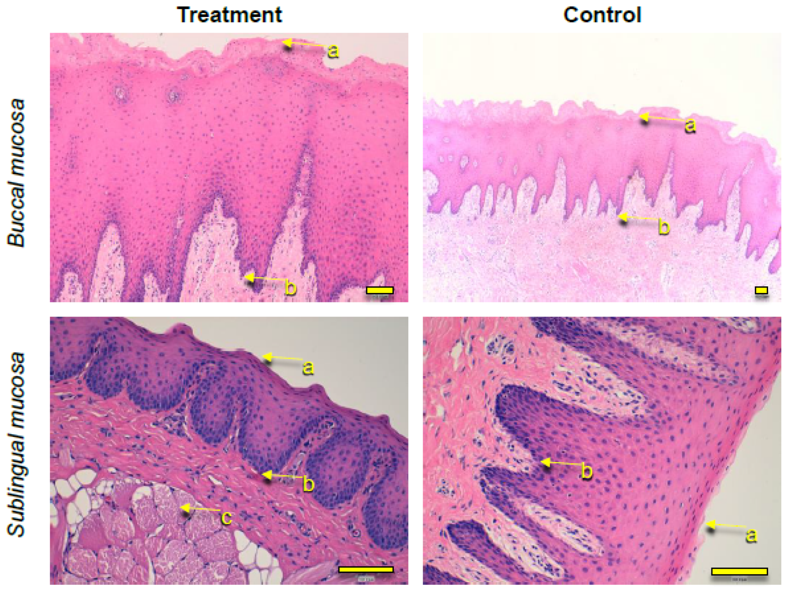 Pharmaceutics 13 01080 g010