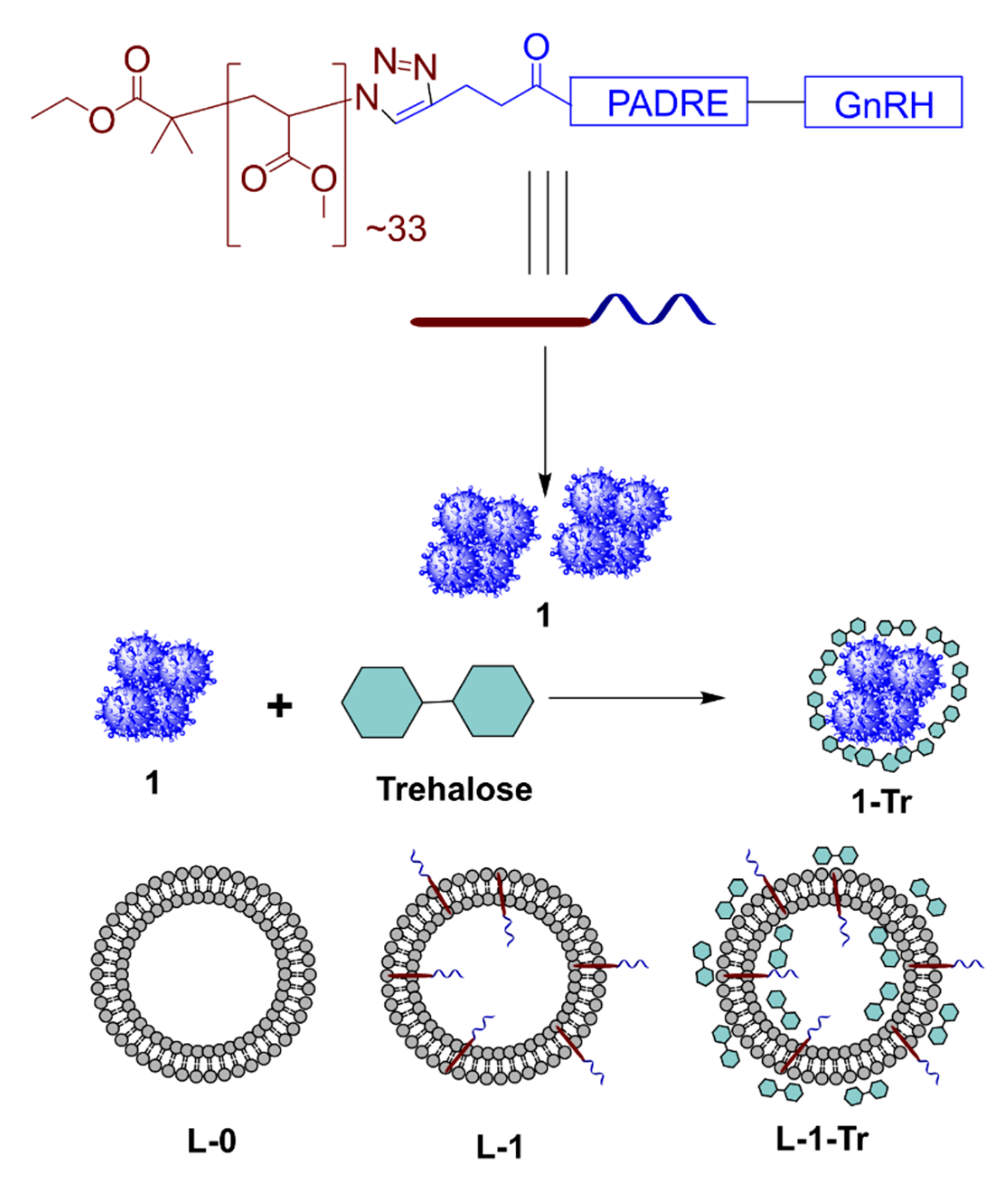 Pharmaceutics 13 01081 g001