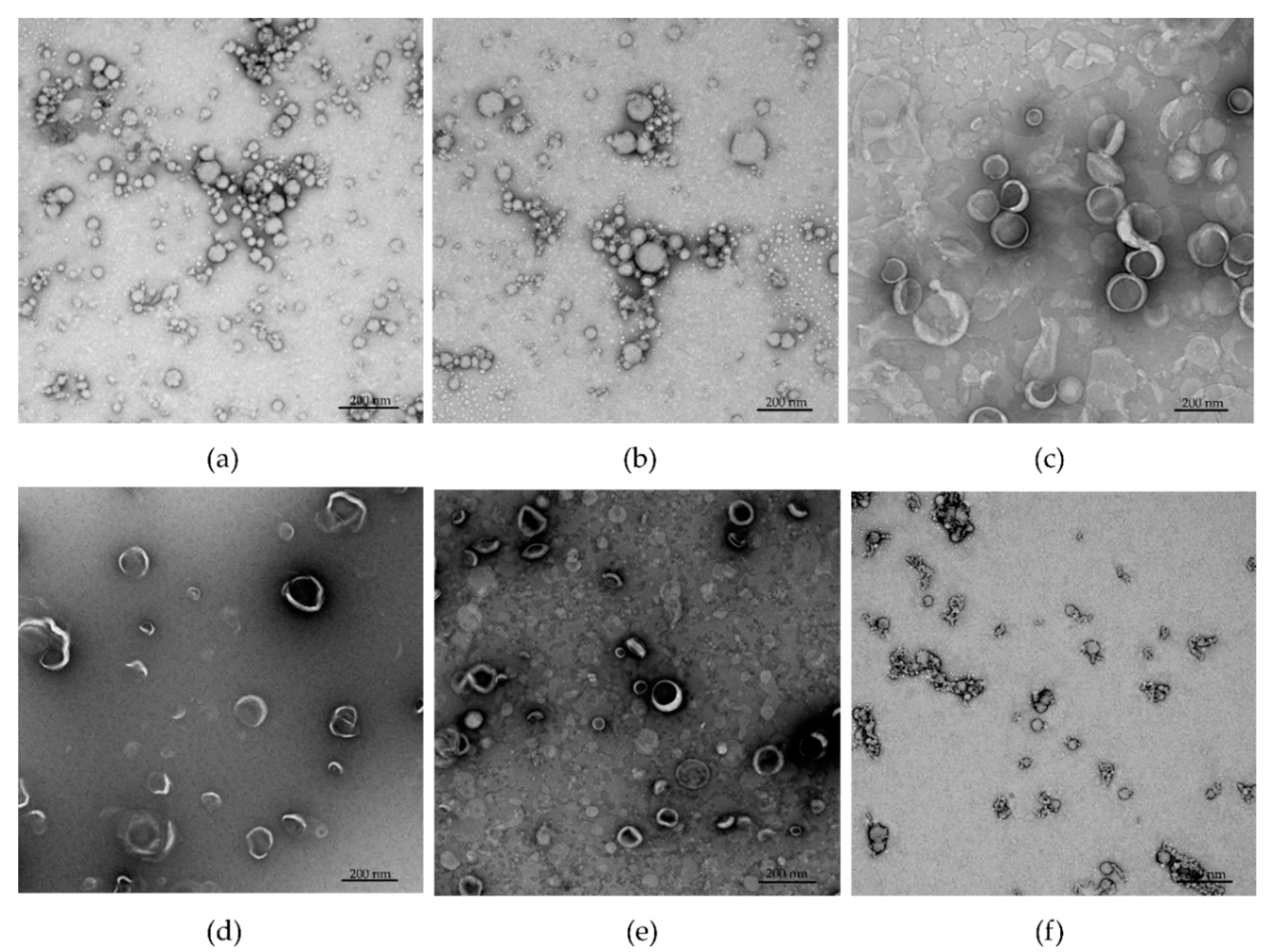 Pharmaceutics 13 01081 g003
