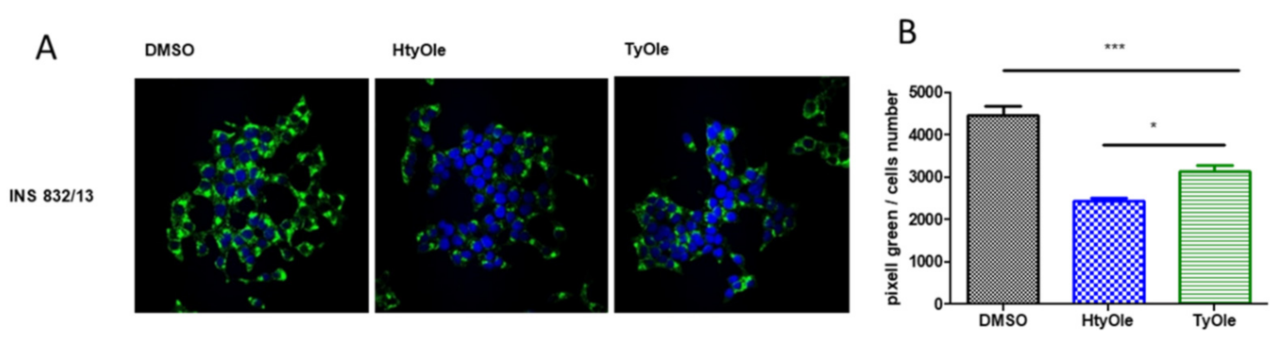 Pharmaceutics 13 01085 g002