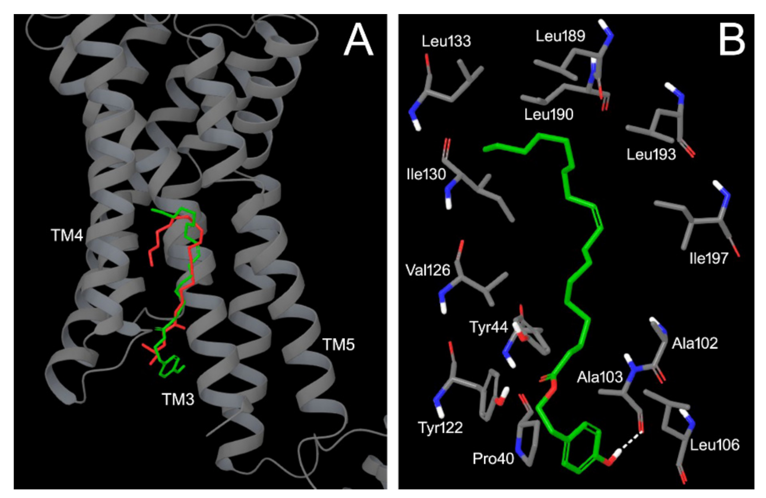 Pharmaceutics 13 01085 g005