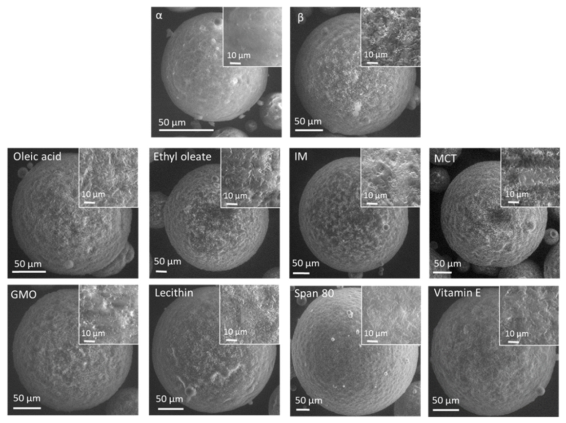 Pharmaceutics 13 01089 g010