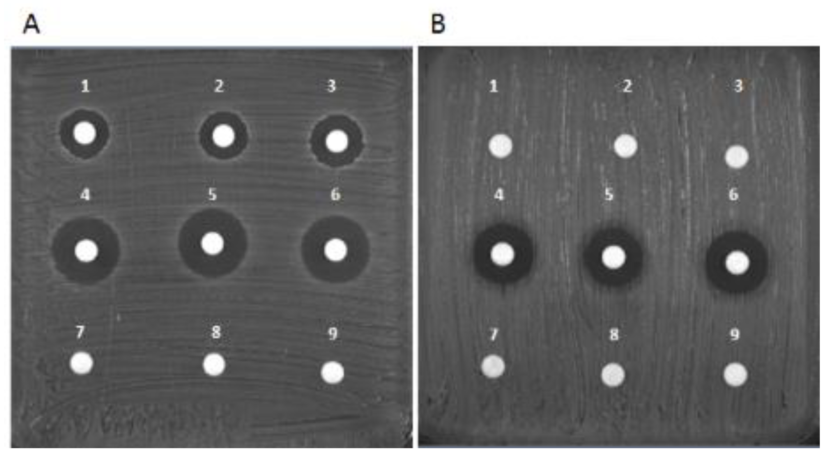 Pharmaceutics 13 01090 g006