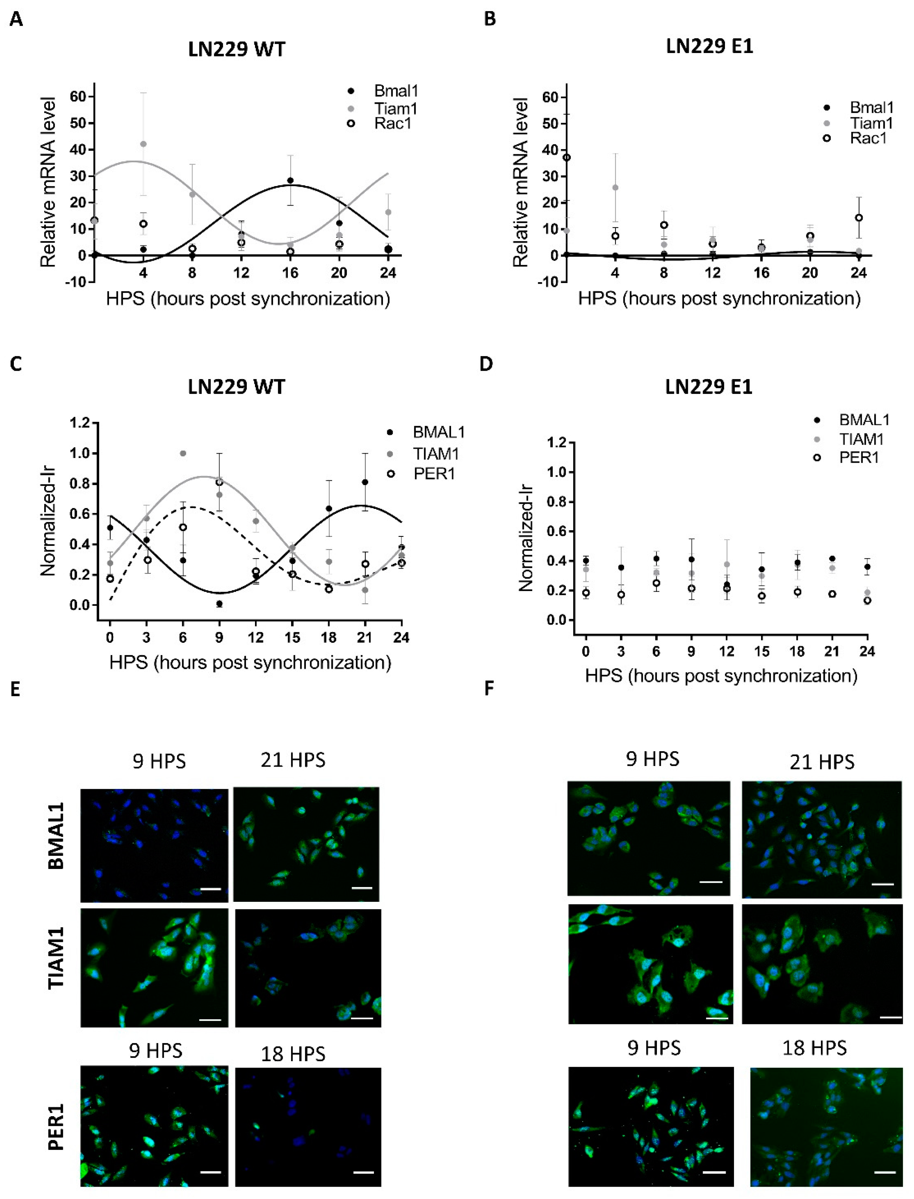 Pharmaceutics 13 01091 g001