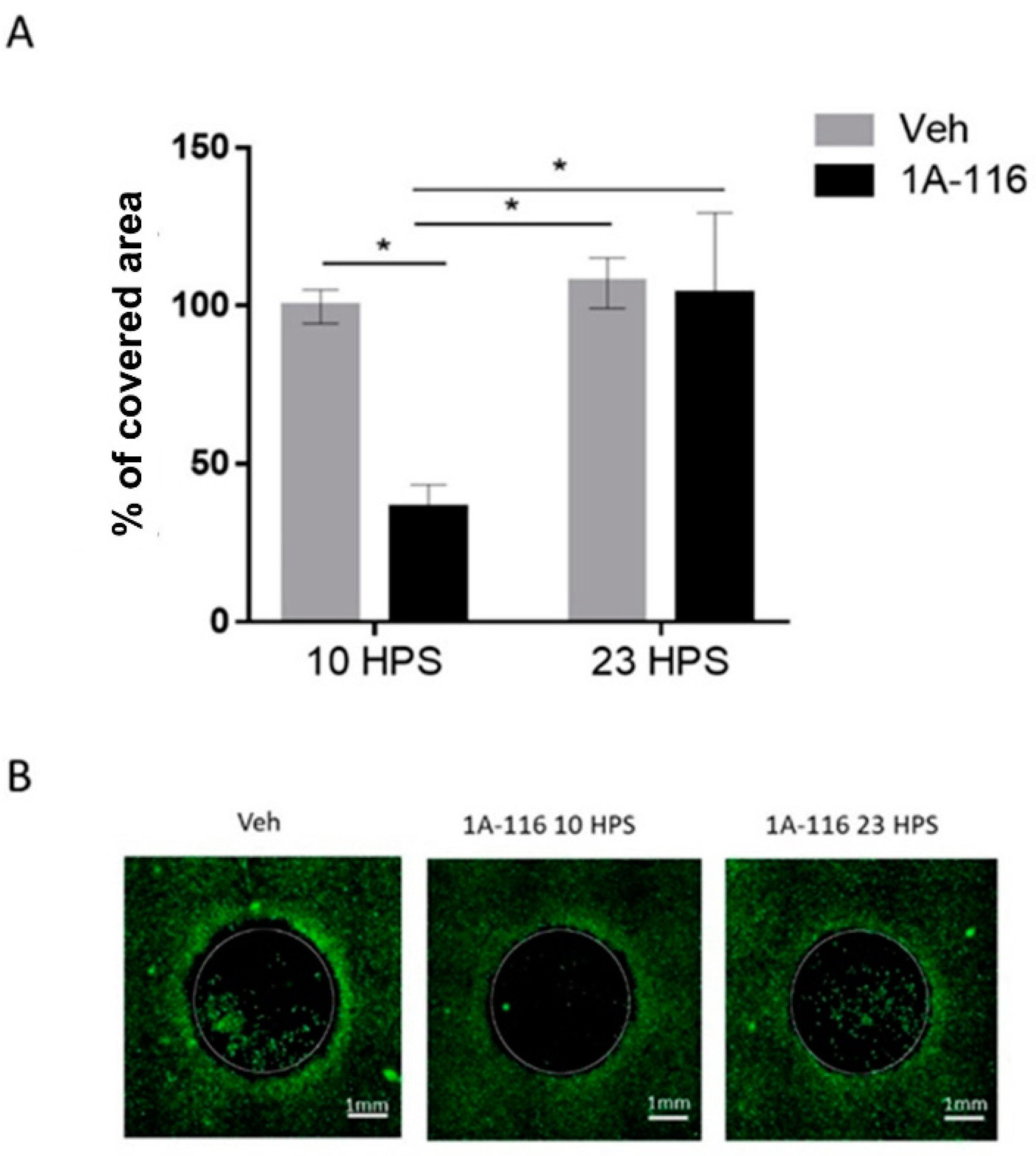 Pharmaceutics 13 01091 g004