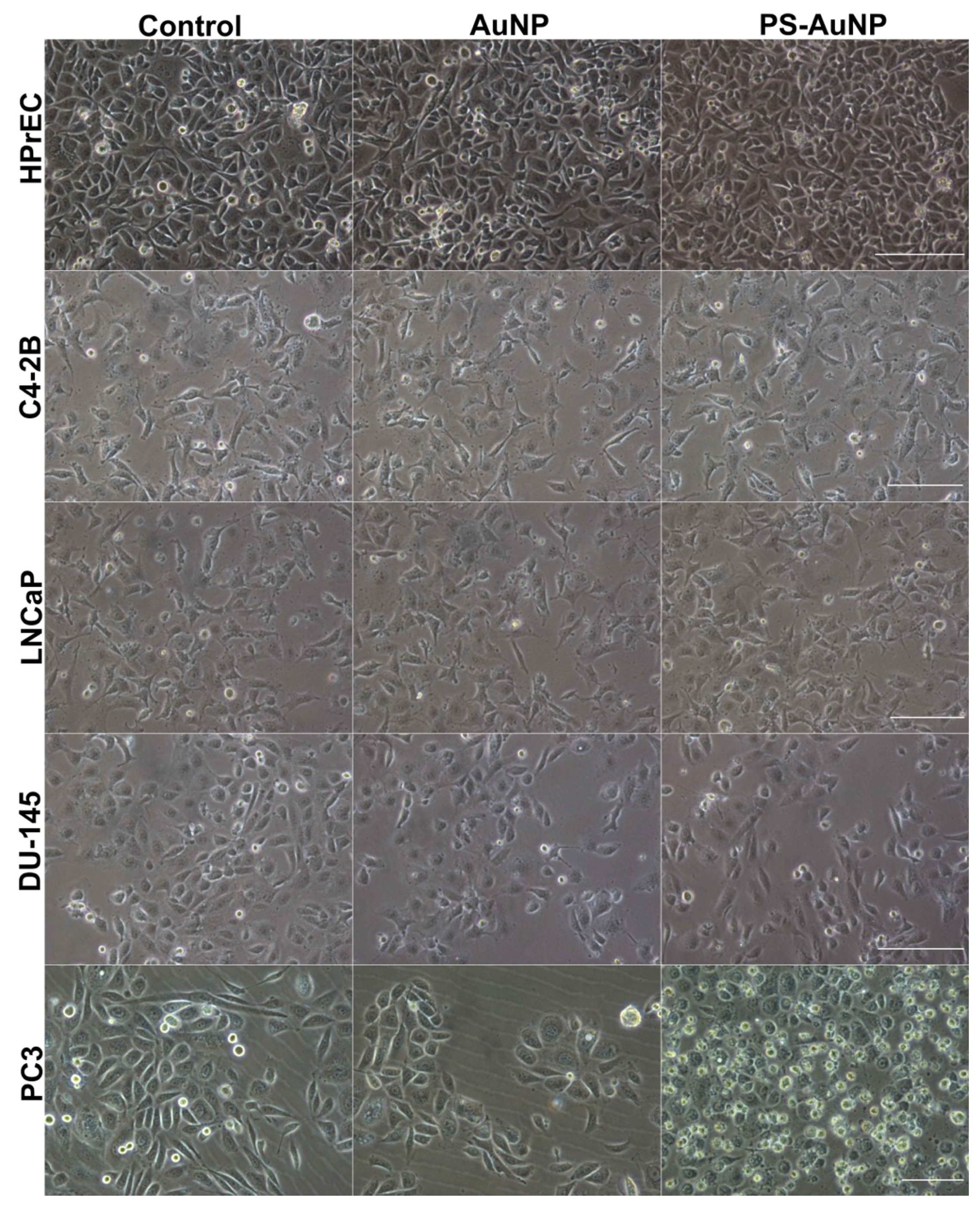 Pharmaceutics 13 01094 g003