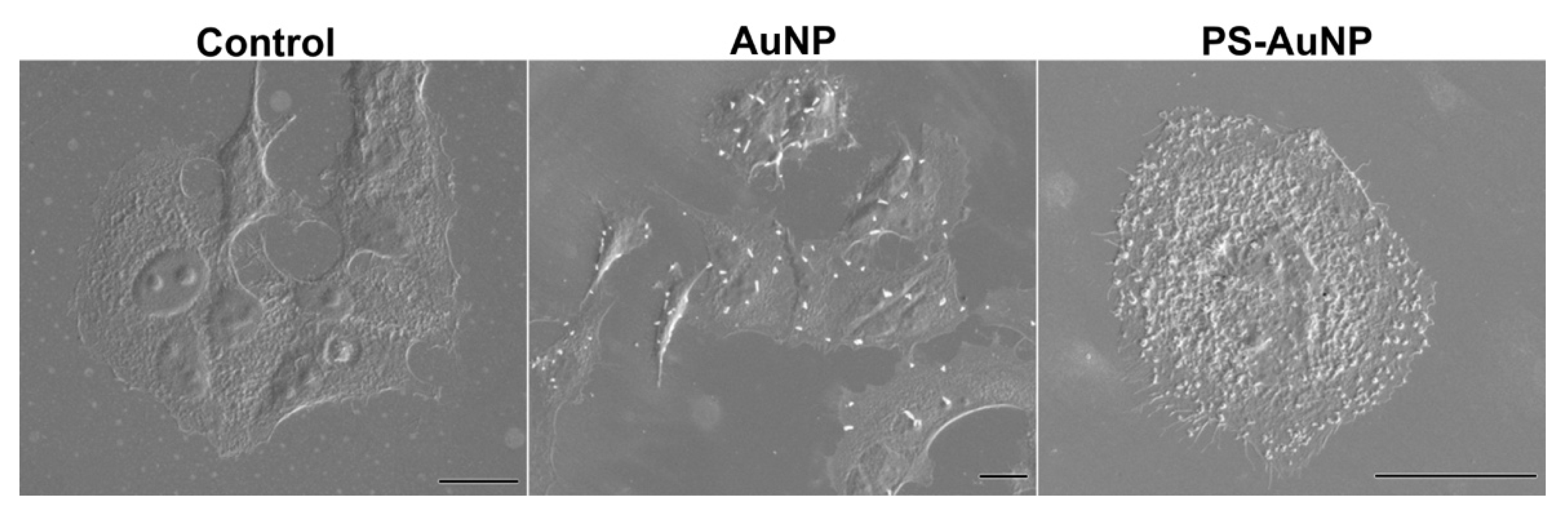 Pharmaceutics 13 01094 g009