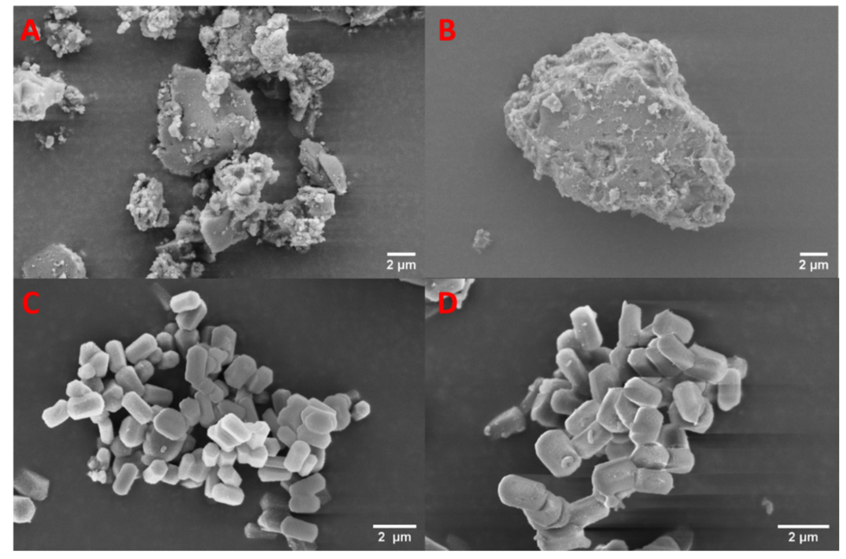 Pharmaceutics 13 01096 g007
