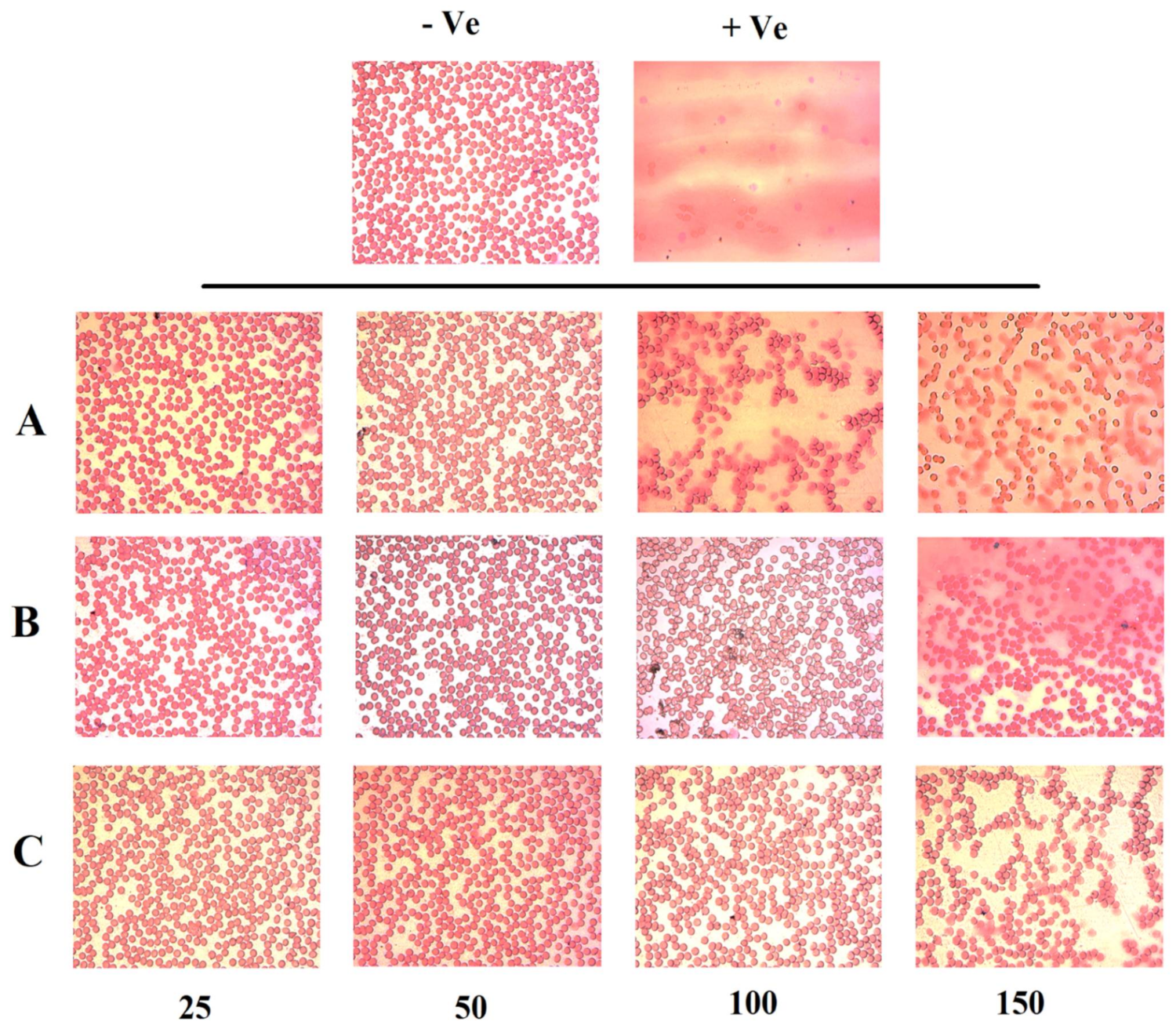 Pharmaceutics 13 01098 g008
