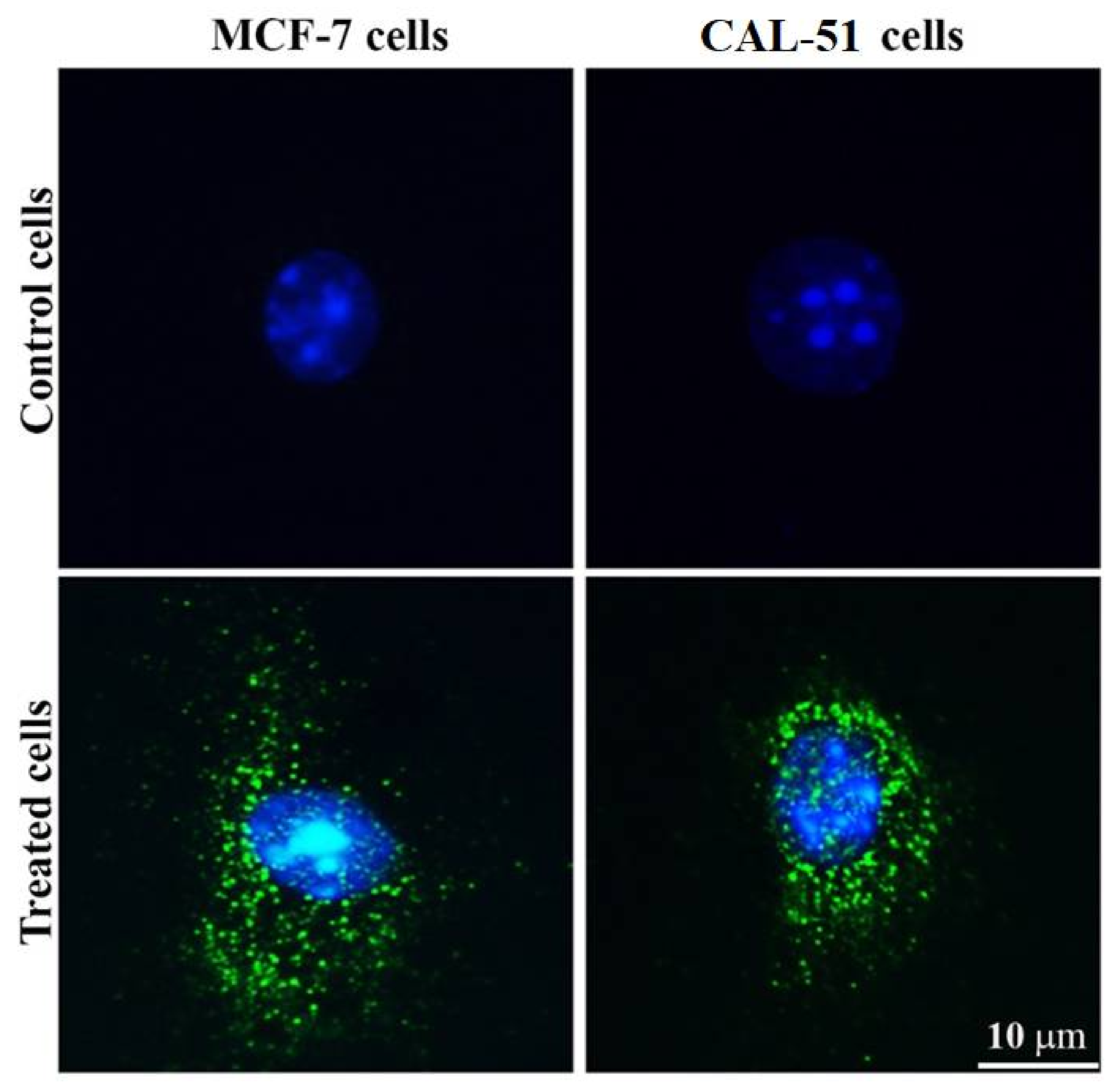 Pharmaceutics 13 01098 g009