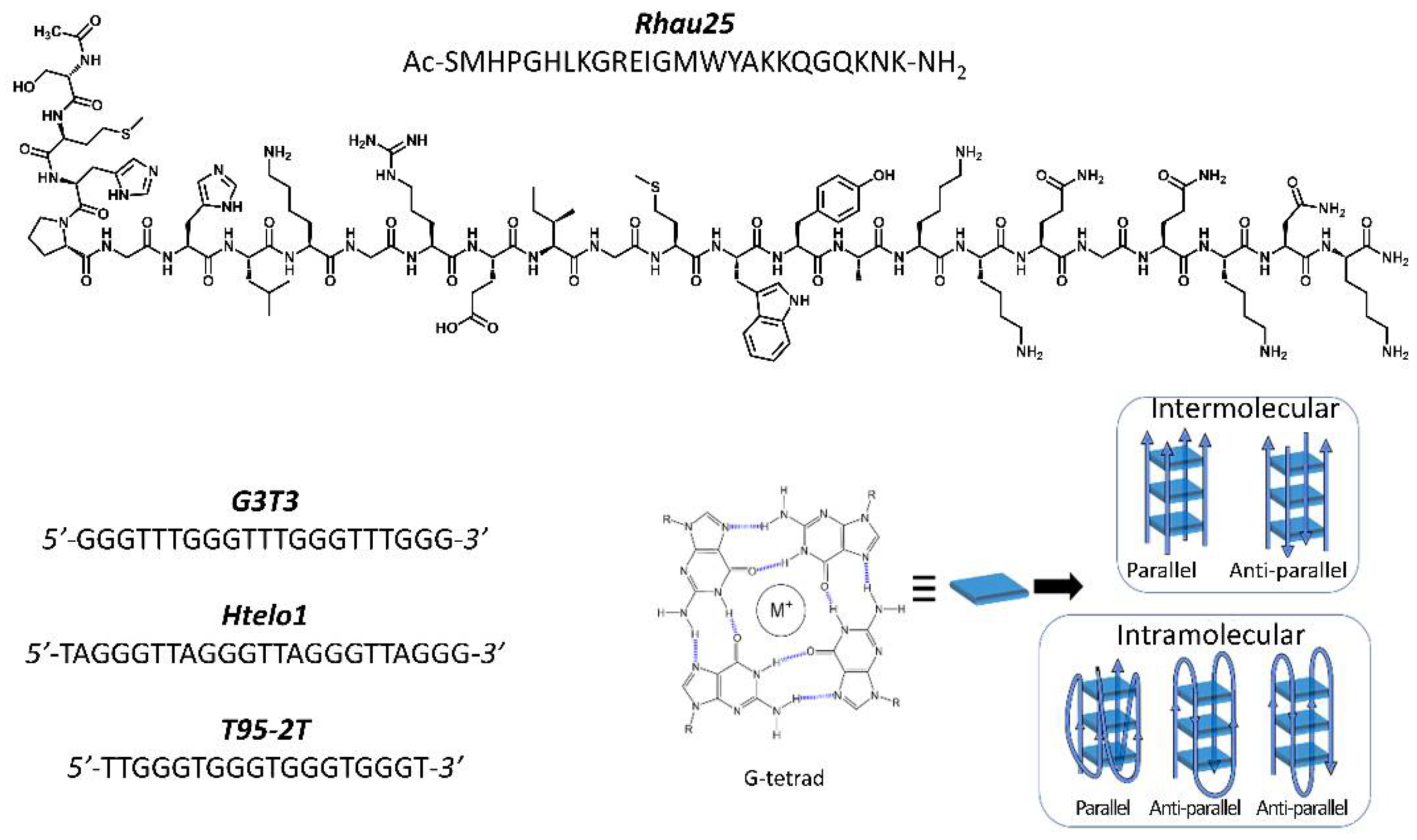 Pharmaceutics 13 01104 g001