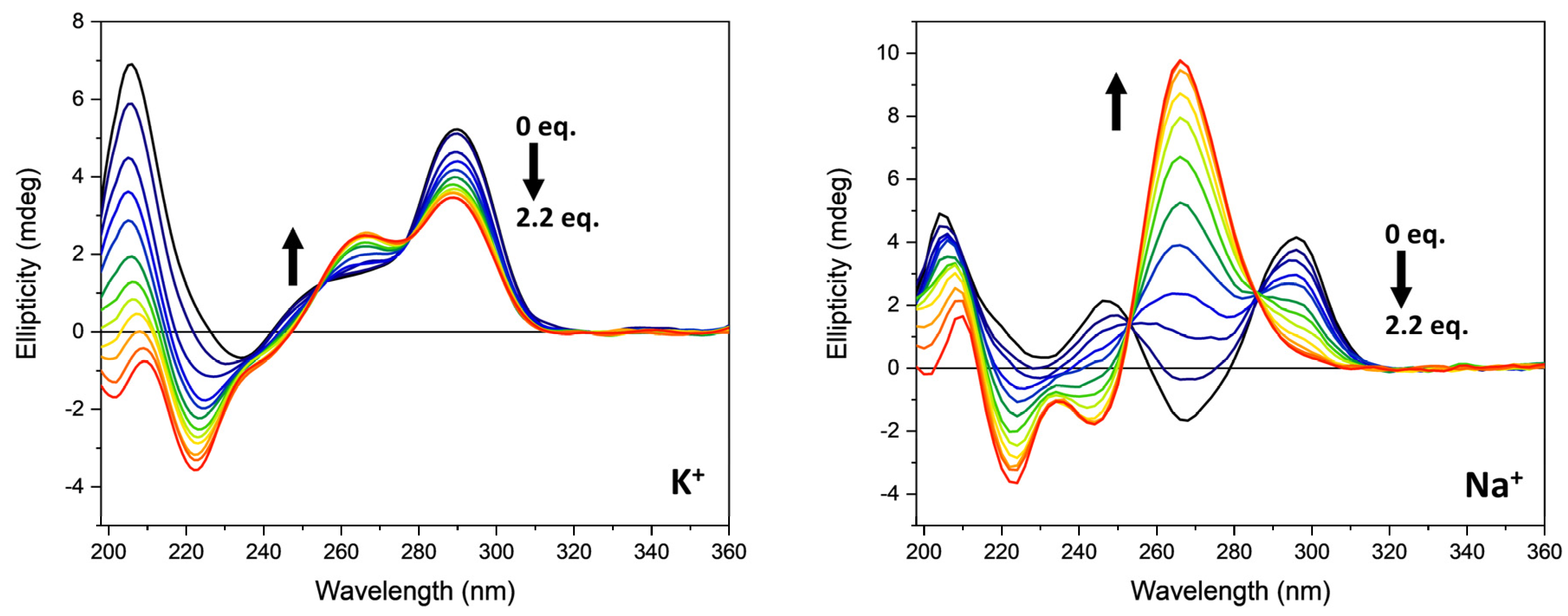 Pharmaceutics 13 01104 g003