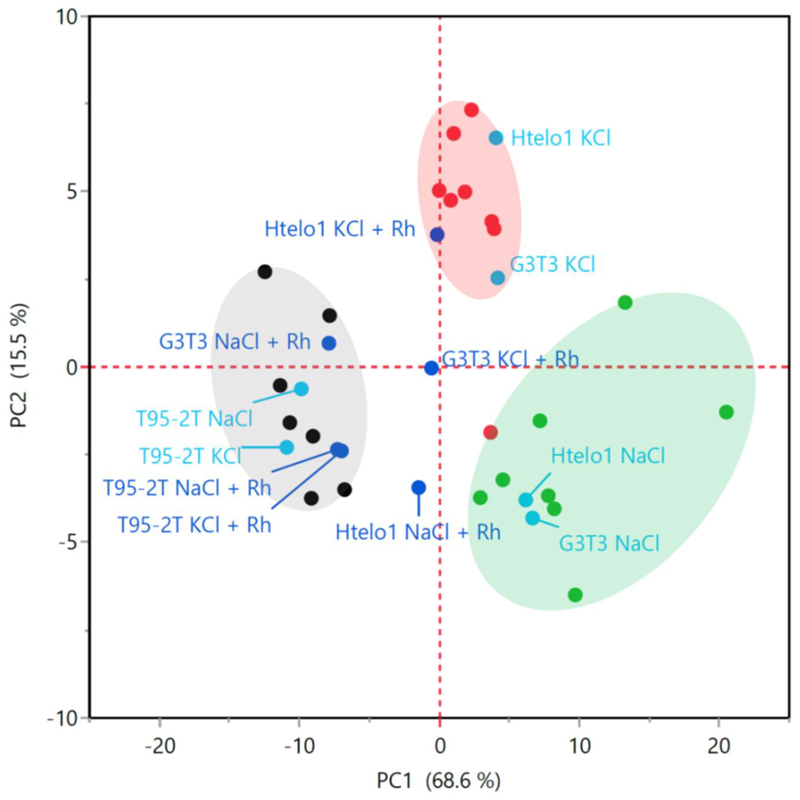 Pharmaceutics 13 01104 g006