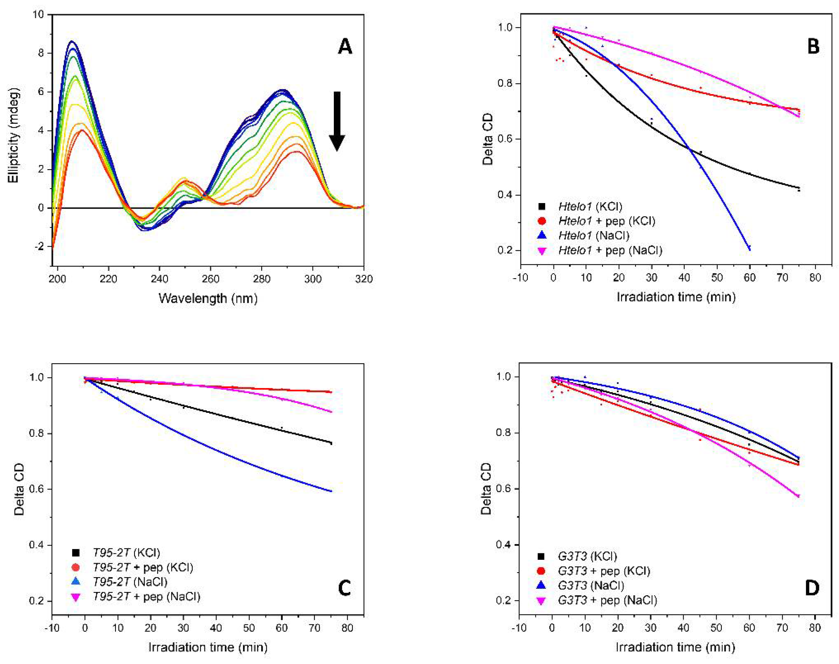 Pharmaceutics 13 01104 g012