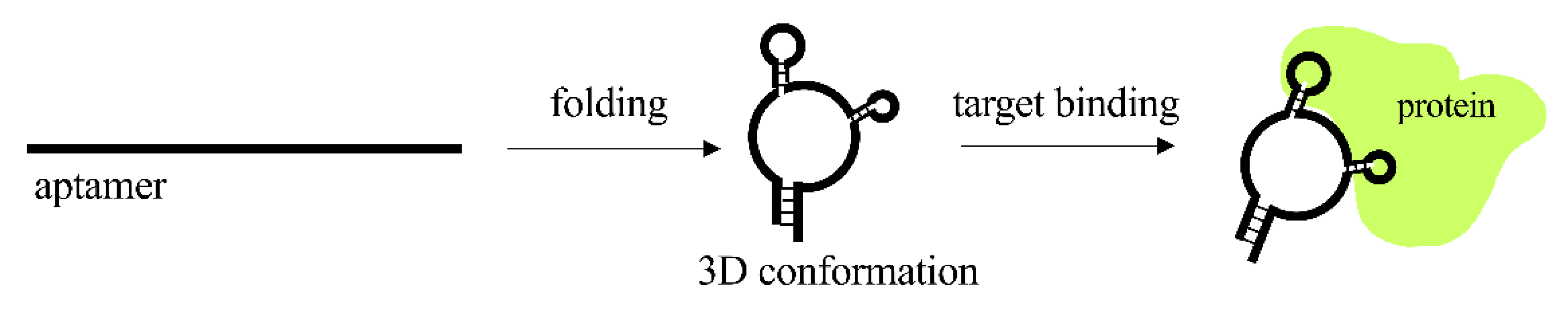 Pharmaceutics 13 01106 g004