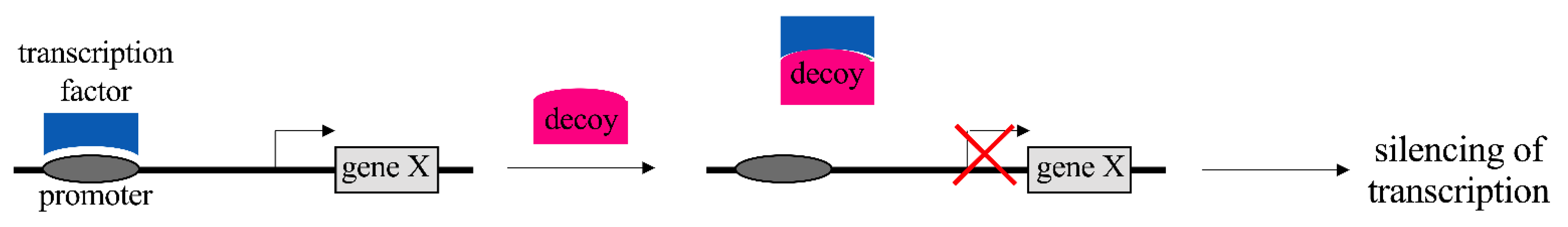 Pharmaceutics 13 01106 g005