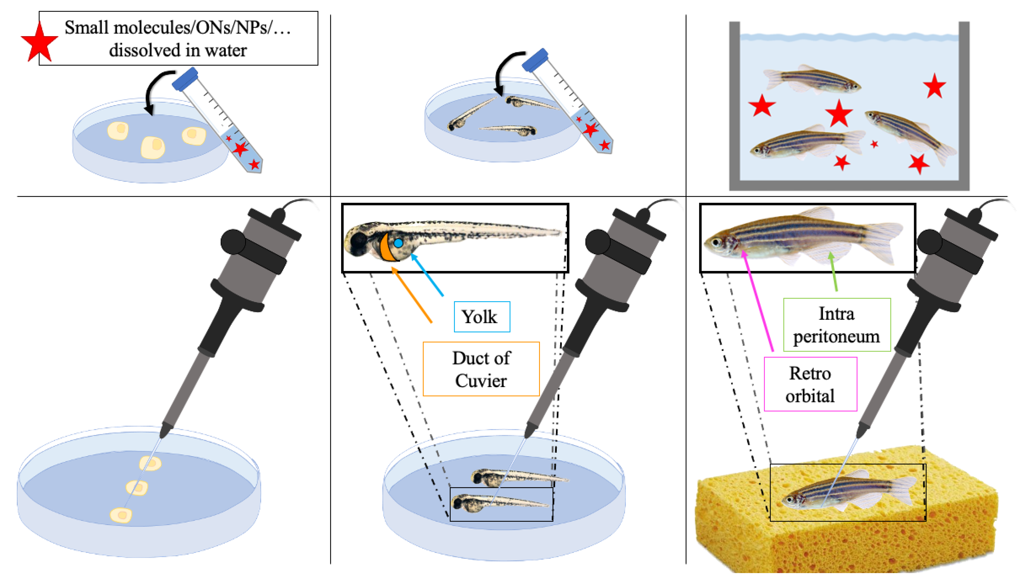 Pharmaceutics 13 01106 g007