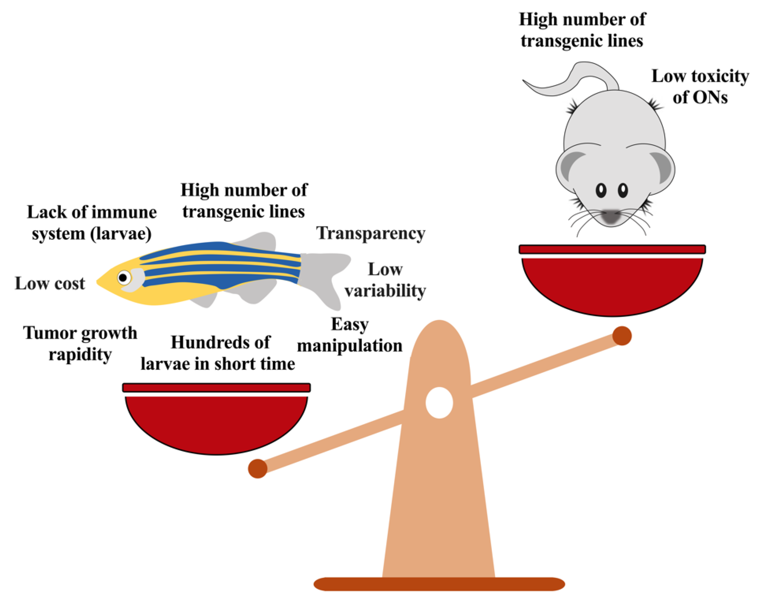 Pharmaceutics 13 01106 g008