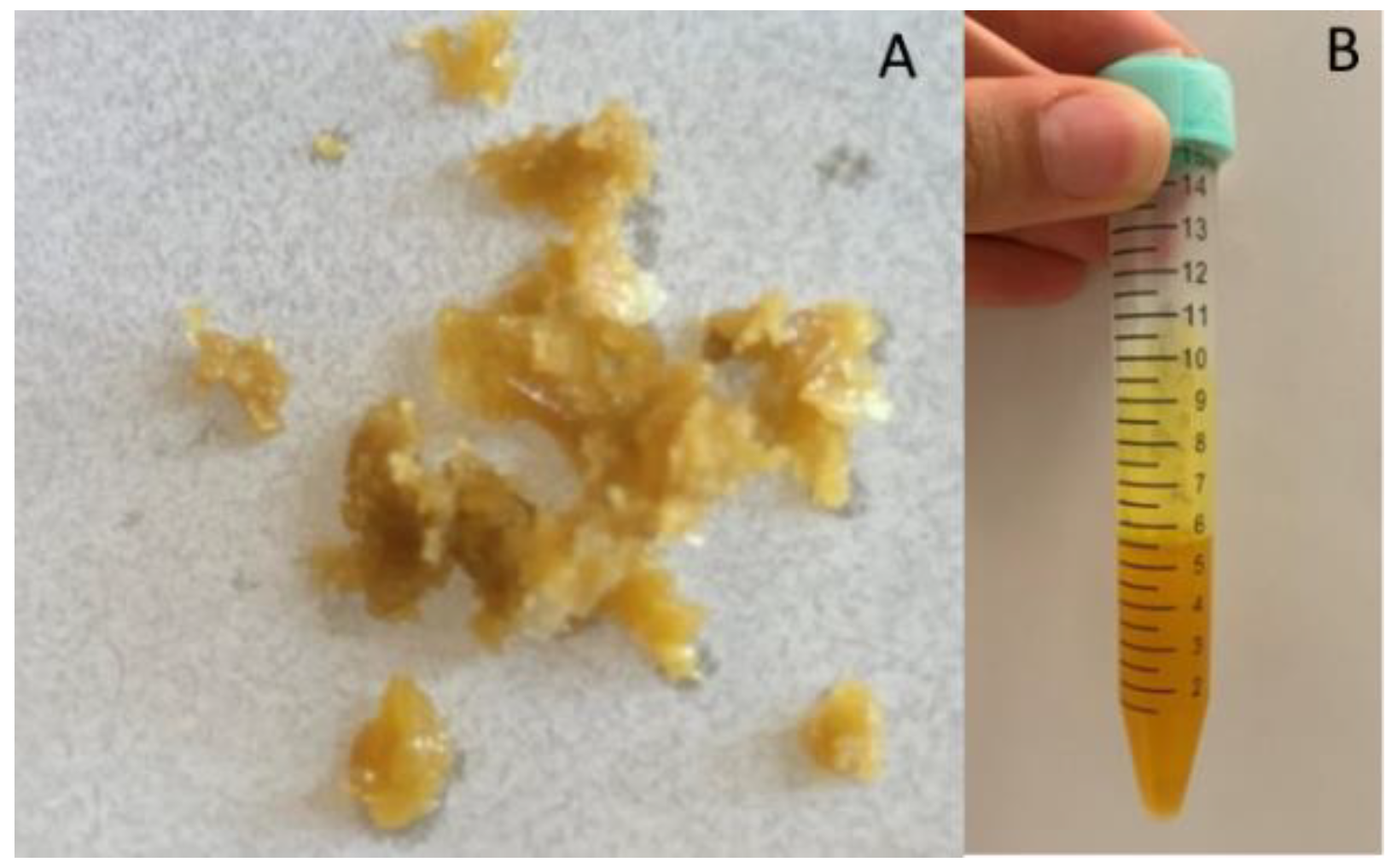 Pharmaceutics 13 01107 g002