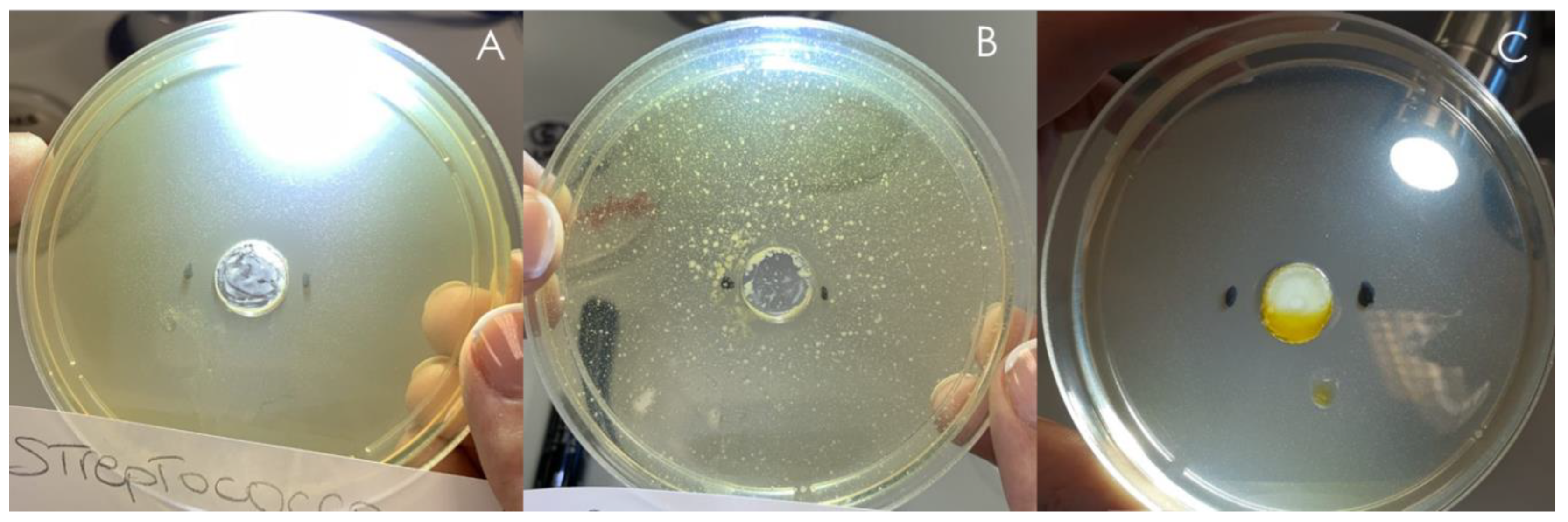 Pharmaceutics 13 01107 g005