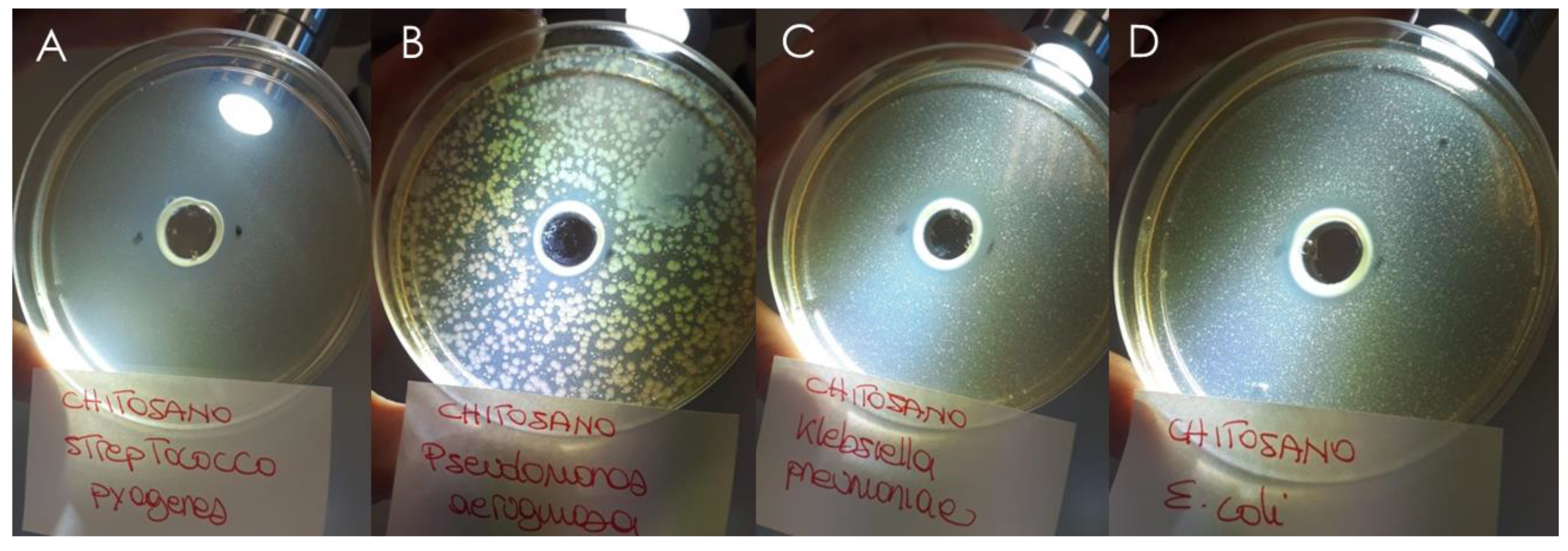 Pharmaceutics 13 01107 g011