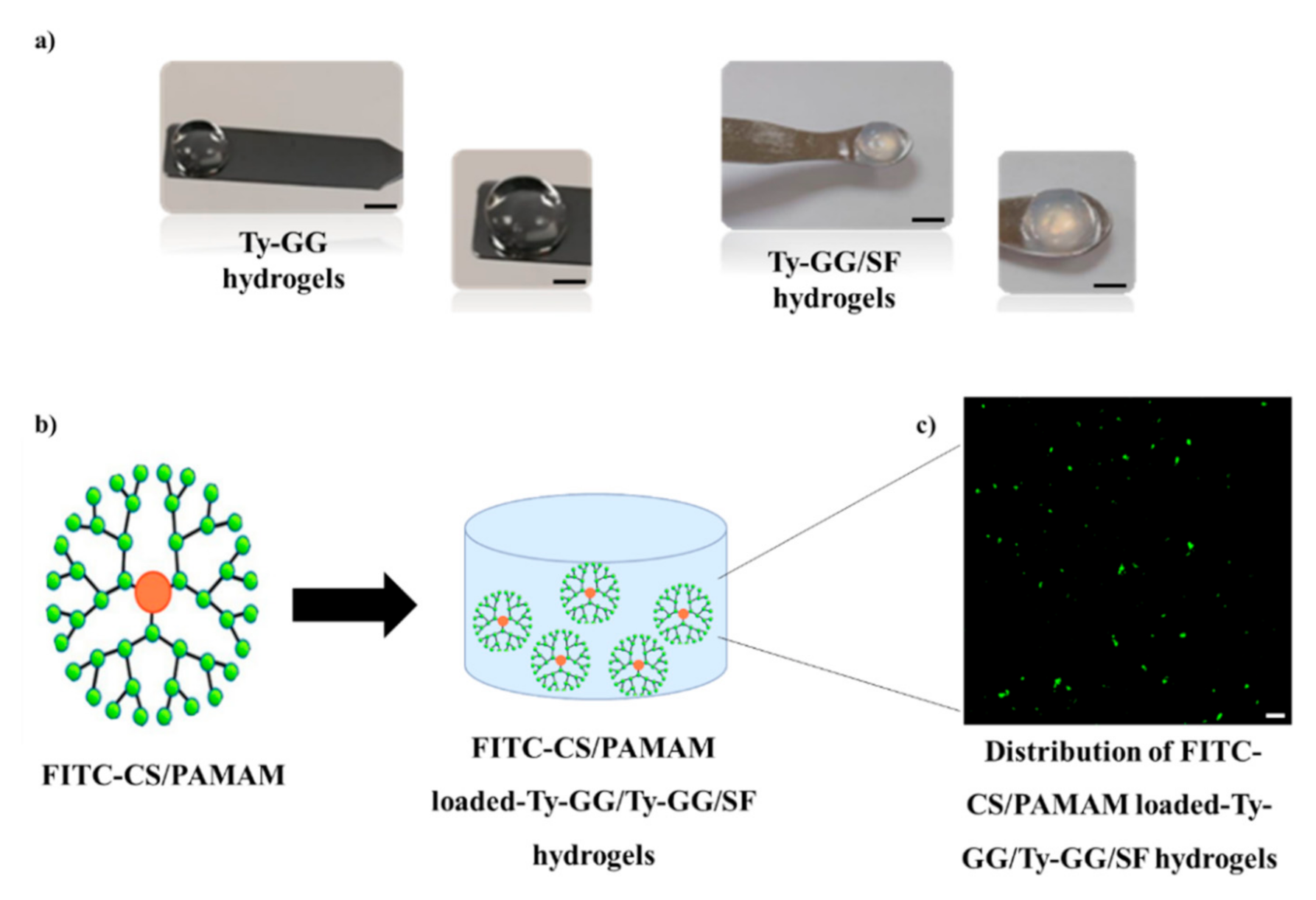 Pharmaceutics 13 01111 g002