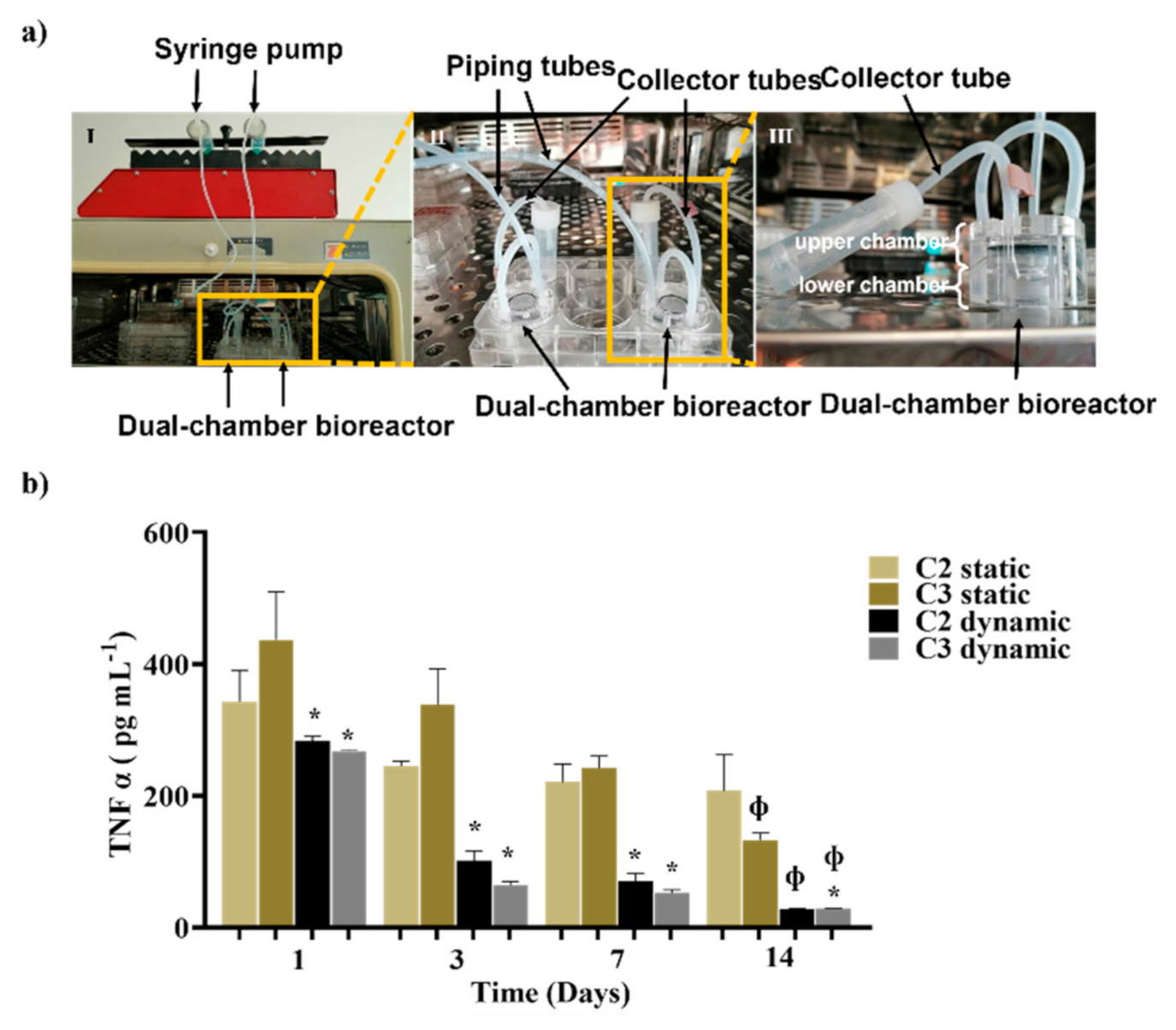 Pharmaceutics 13 01111 g006