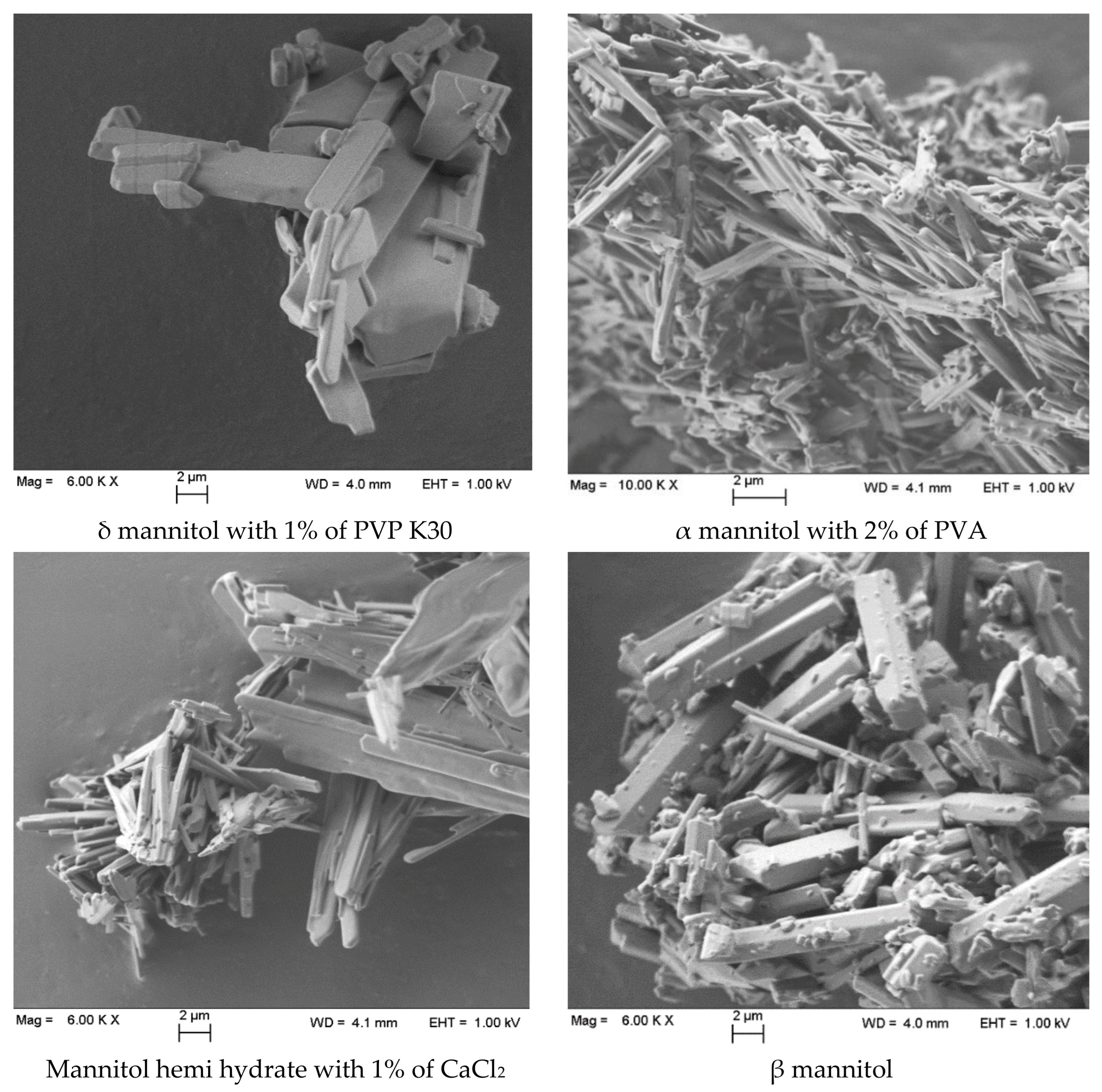 Pharmaceutics 13 01113 g008