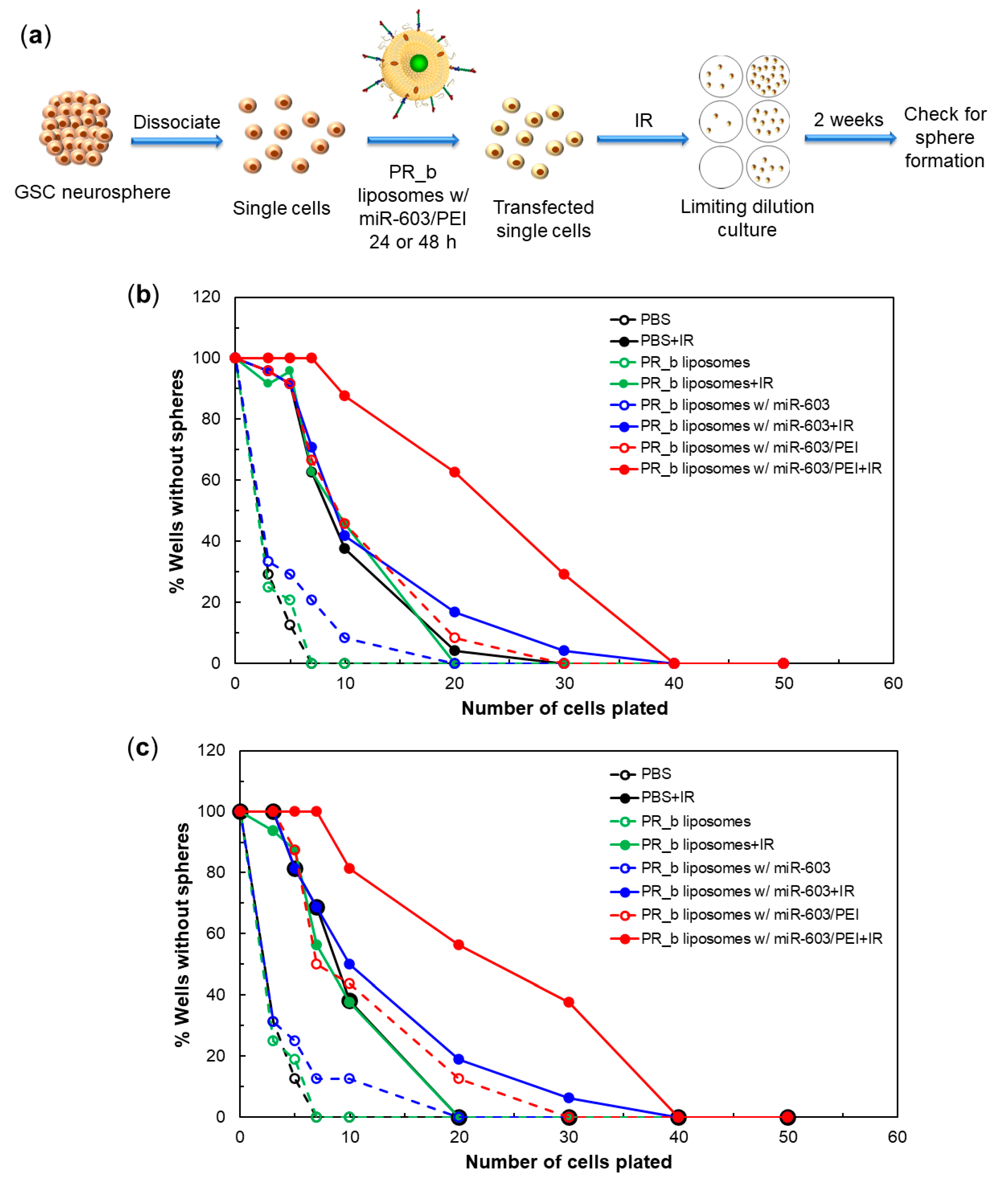 Pharmaceutics 13 01115 g004