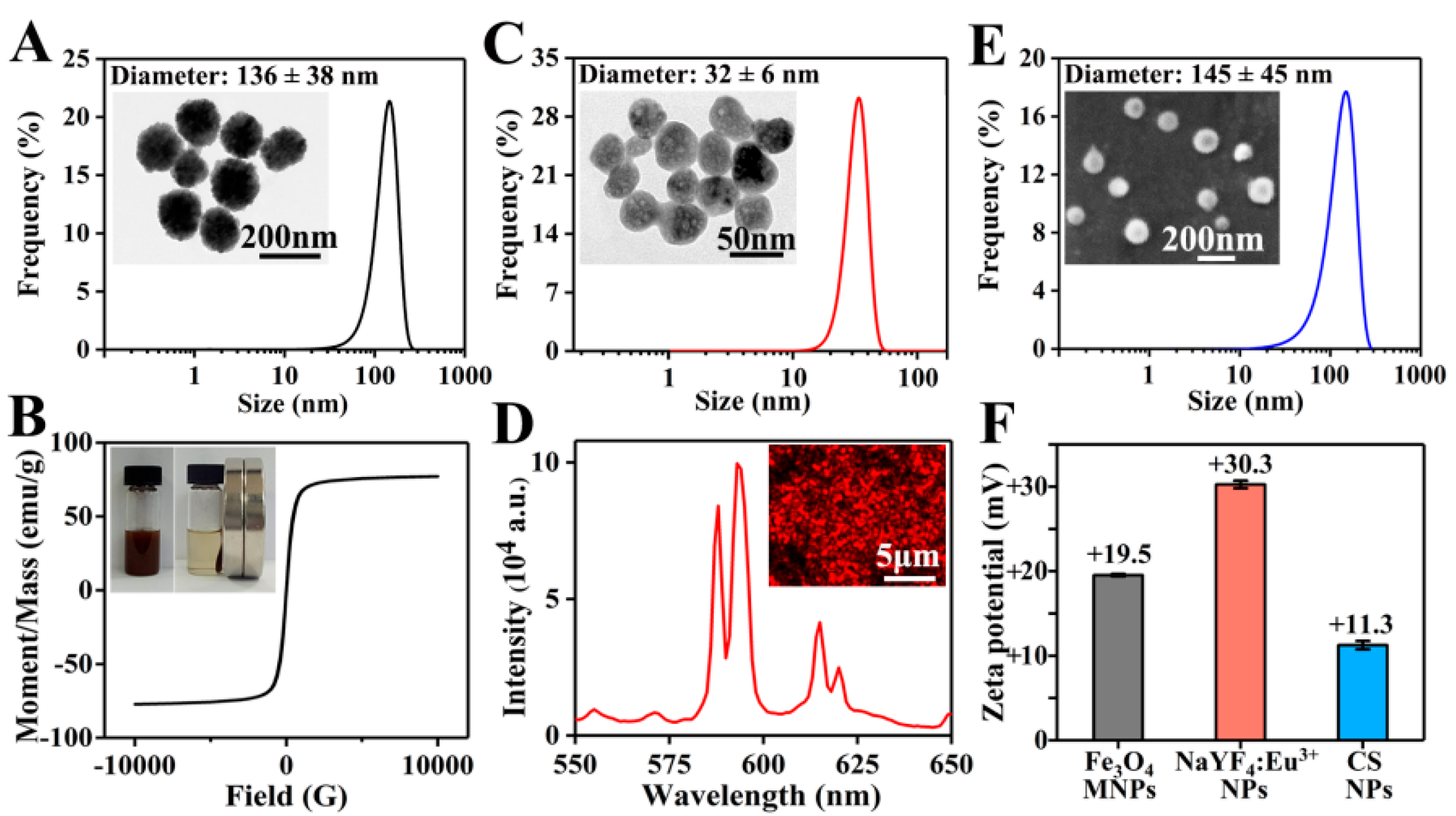 Pharmaceutics 13 01116 g002